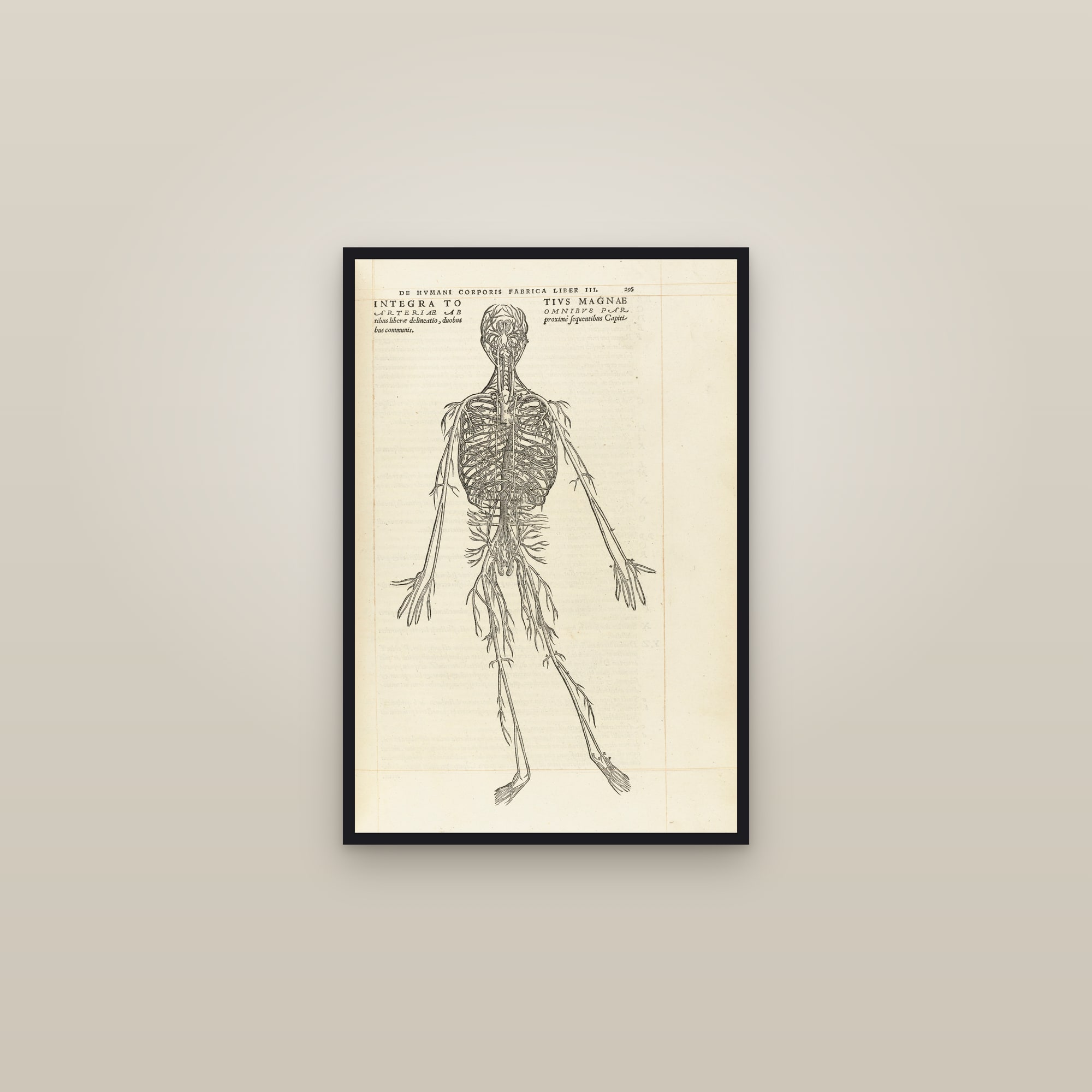 The Arterial System (the artery man) — framed in a gallery setting