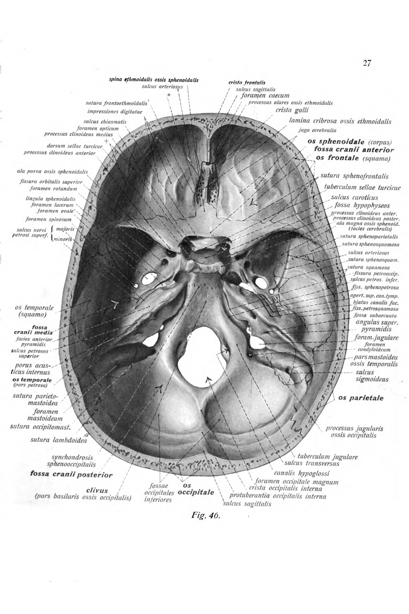 The Base of the Skull (interior)