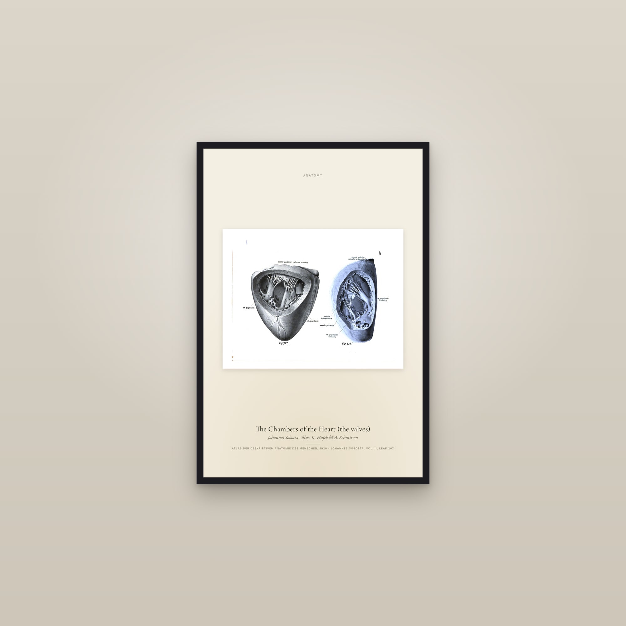 The Chambers of the Heart (the valves) — framed in a gallery setting