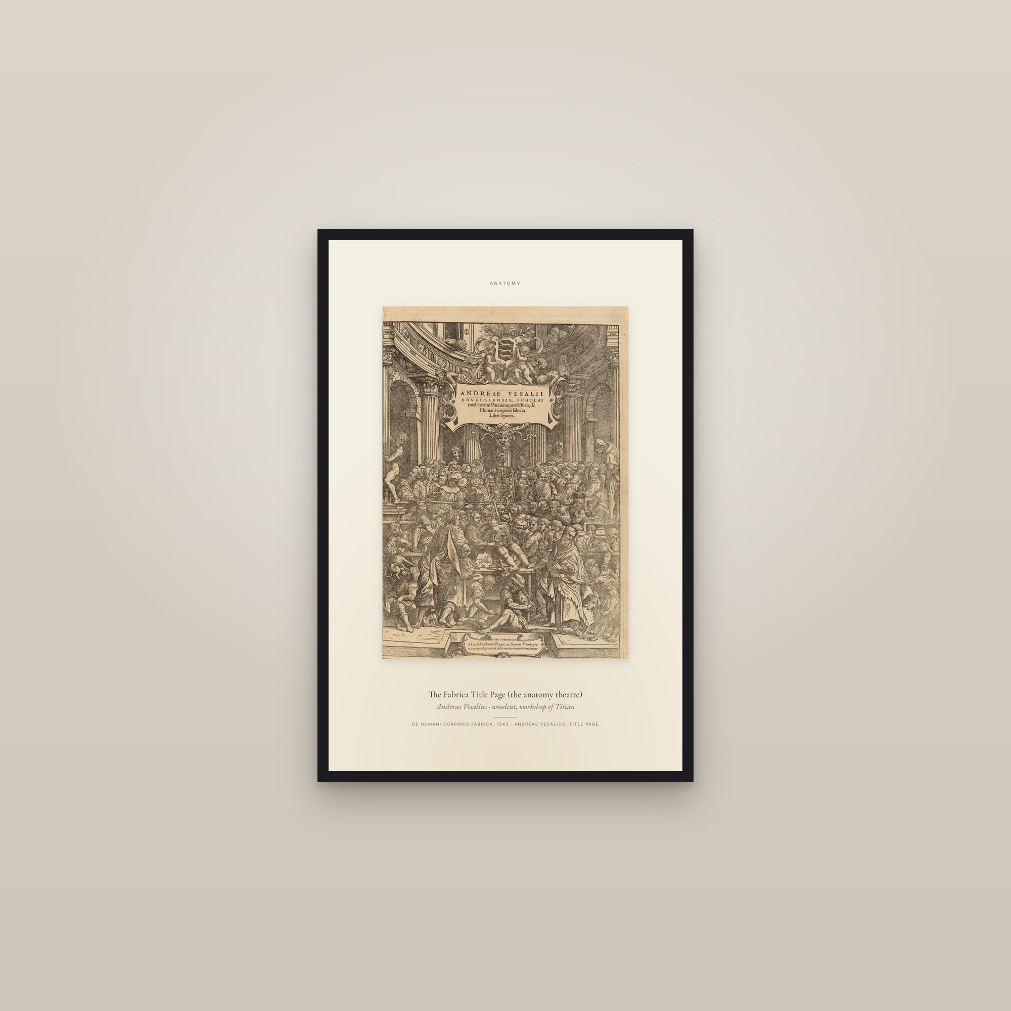 The Fabrica Title Page (the anatomy theatre) — Specimen — framed in a gallery setting
