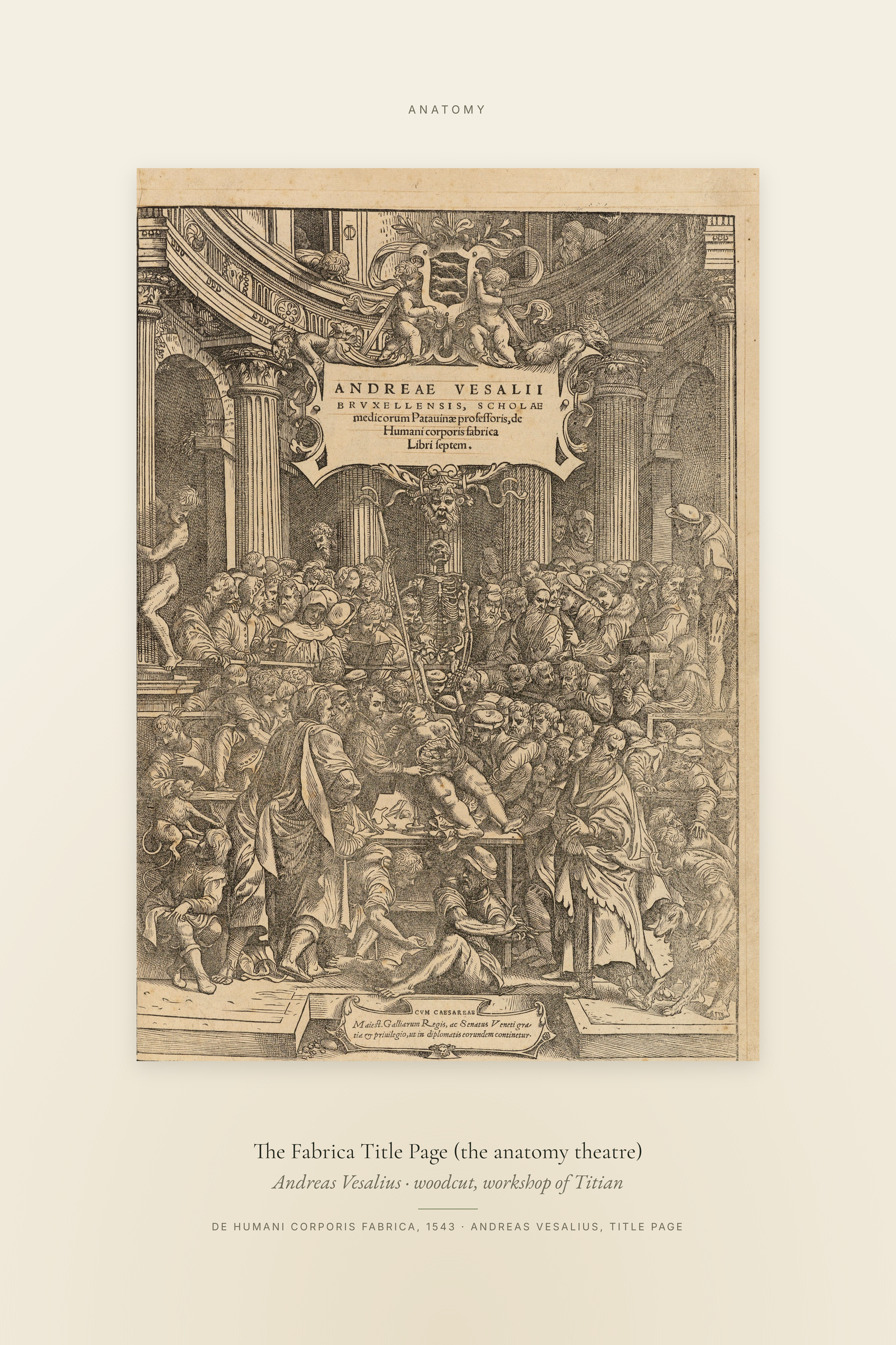The Fabrica Title Page (the anatomy theatre) — Specimen