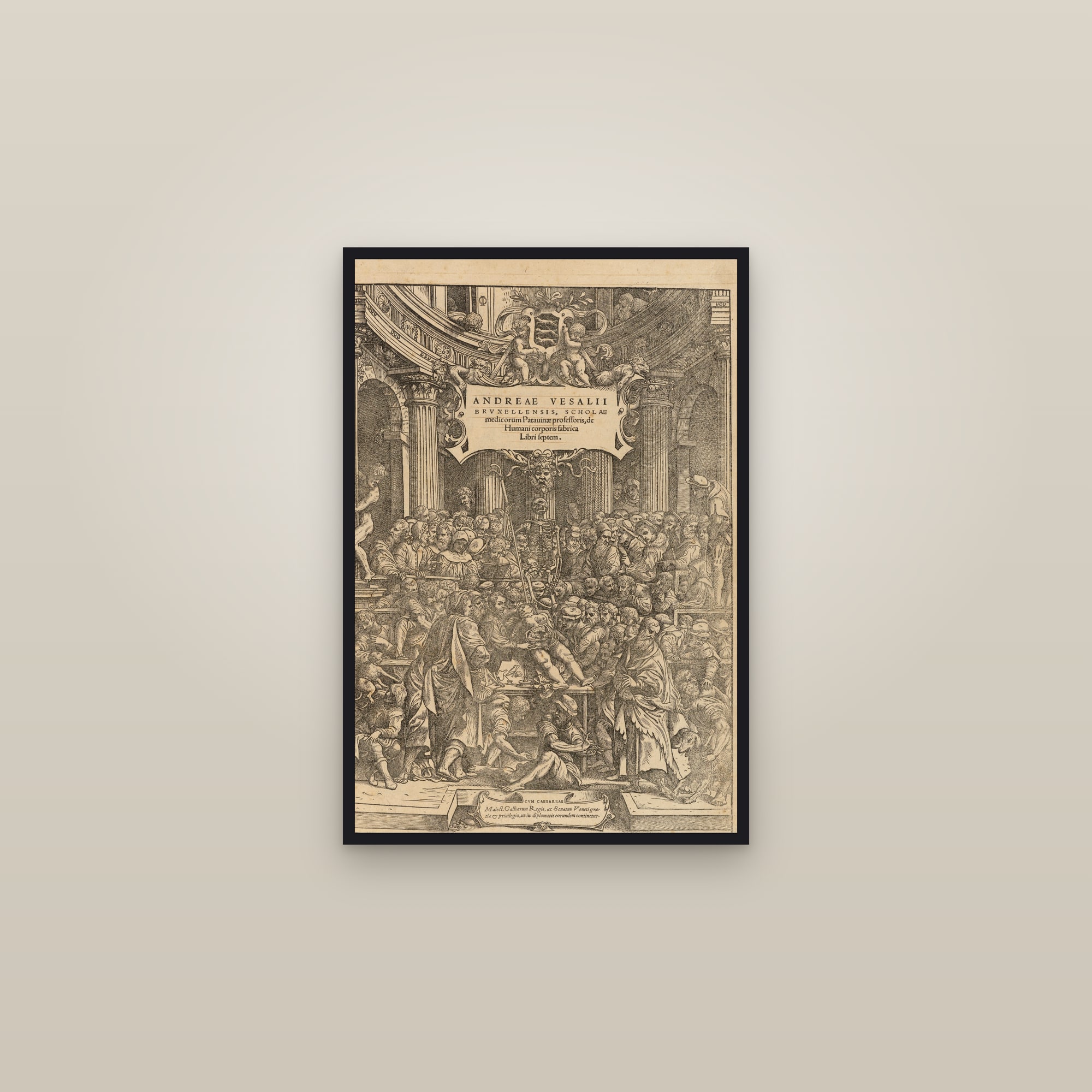 The Fabrica Title Page (the anatomy theatre) — framed in a gallery setting