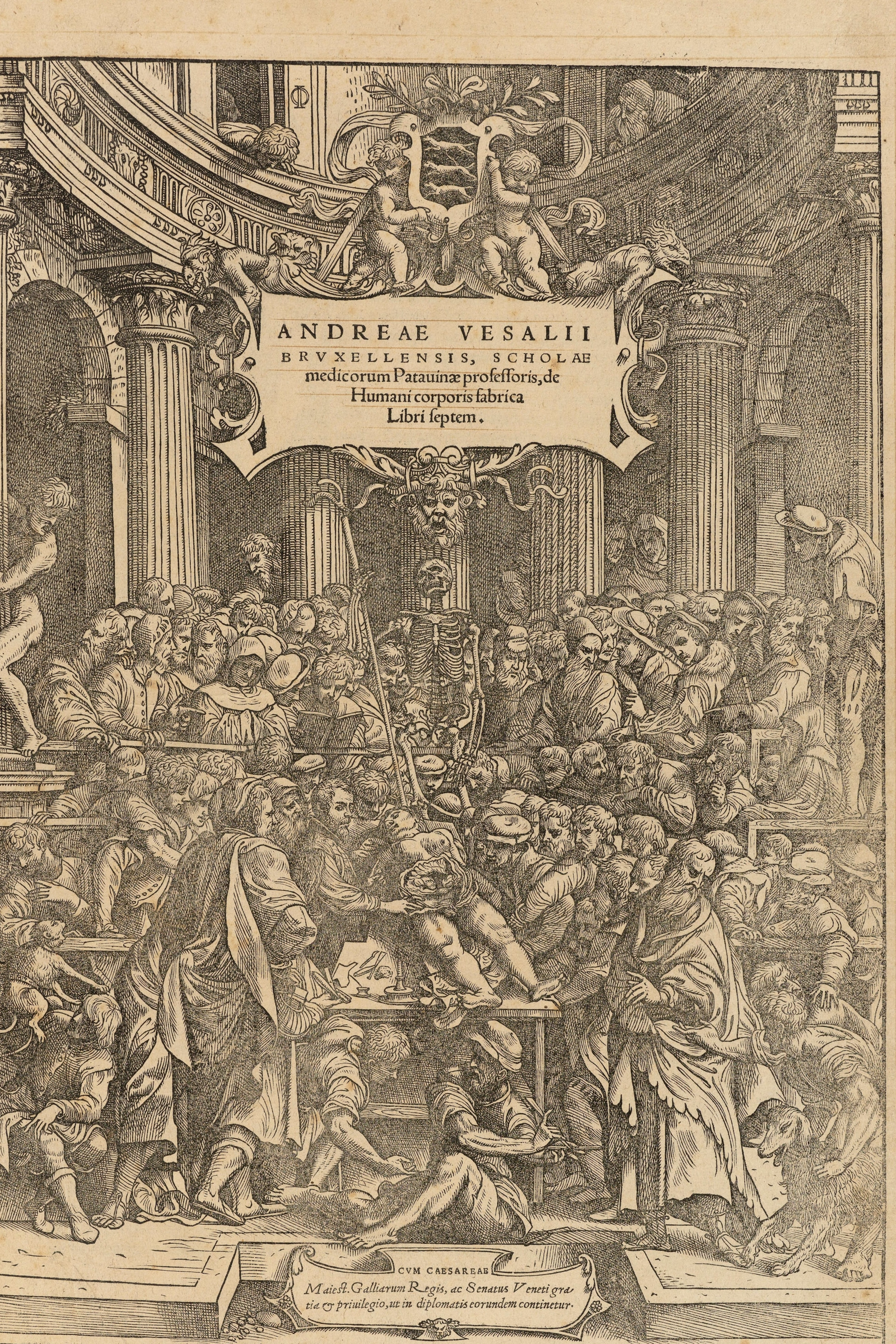The Fabrica Title Page (the anatomy theatre)