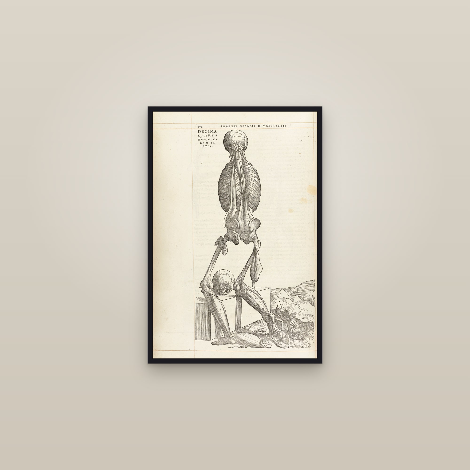 The Fourteenth Muscle Man (back, bowed) — framed in a gallery setting