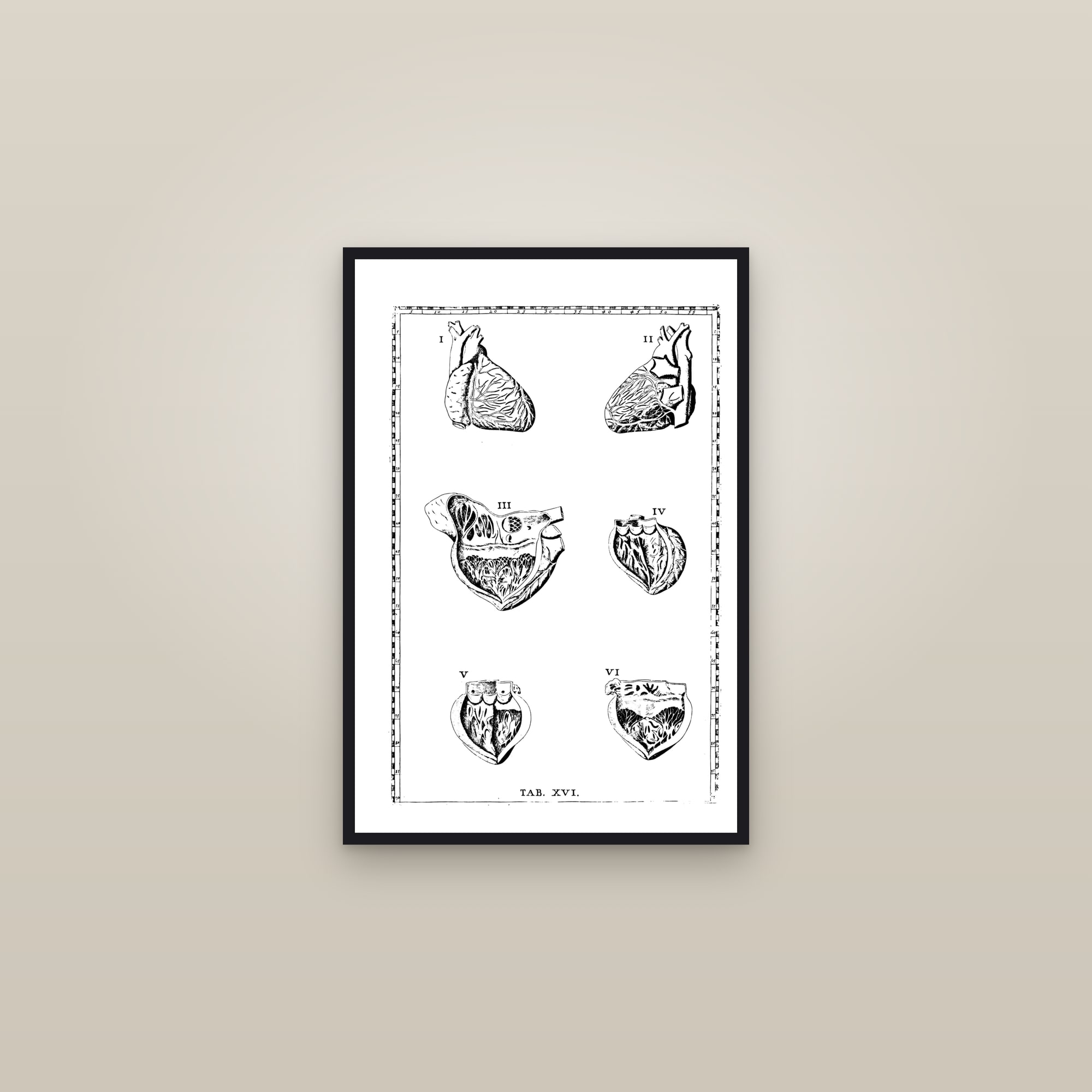 The Human Heart (six anatomical views) — framed in a gallery setting