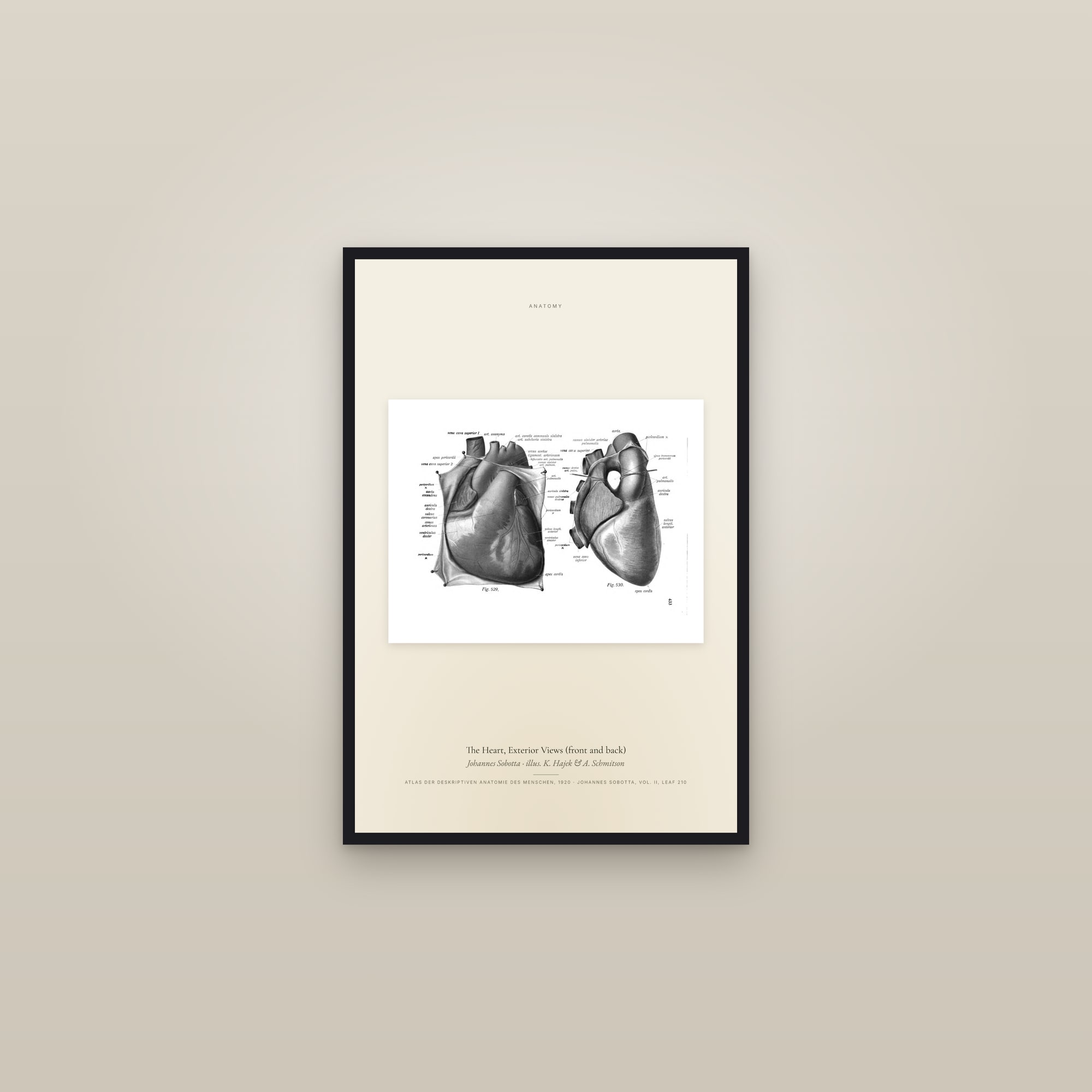 The Heart, Exterior Views (front and back) — framed in a gallery setting