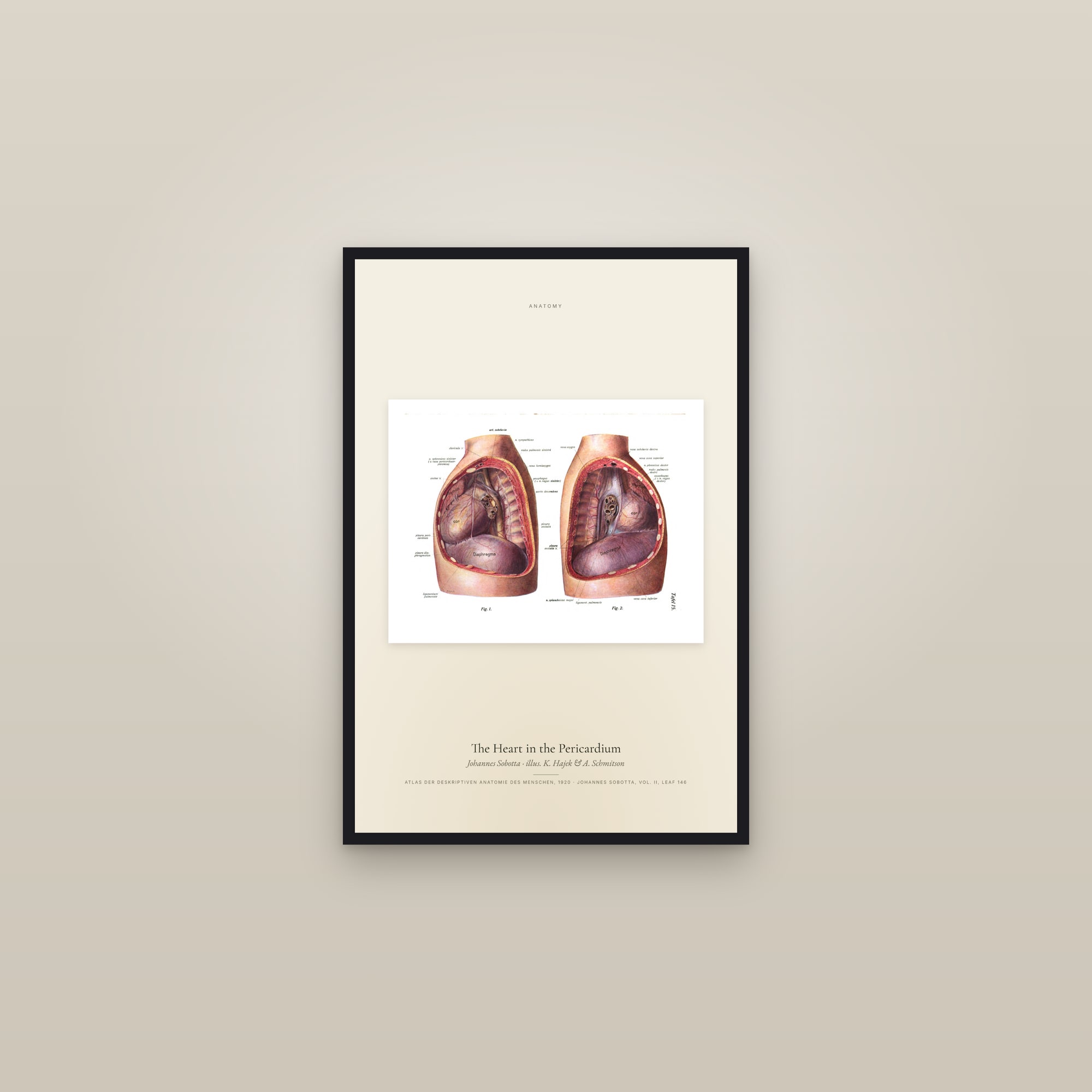 The Heart in the Pericardium — framed in a gallery setting