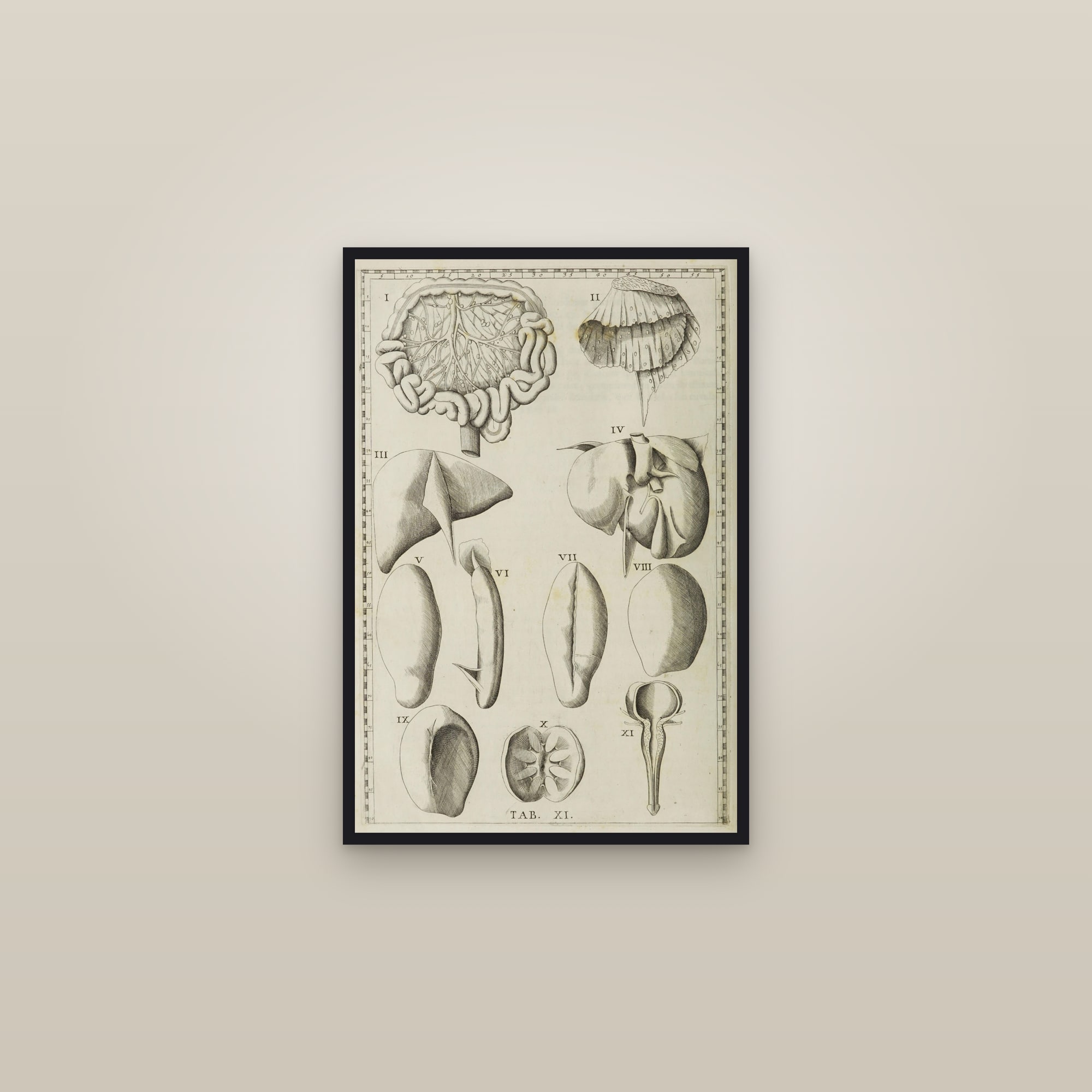 The Liver, Spleen and Stomach — framed in a gallery setting