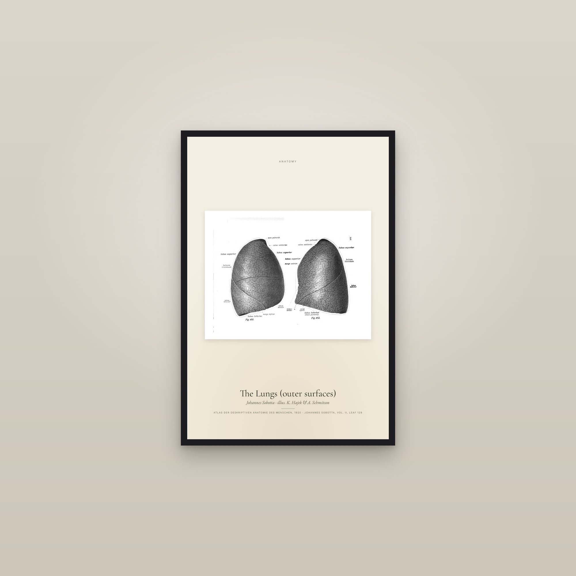 The Lungs (outer surfaces) — framed in a gallery setting