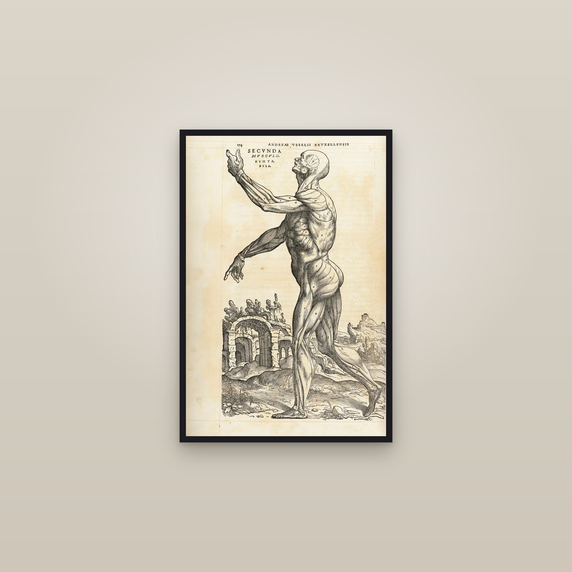 The Second Muscle Man (front, arm raised) — framed in a gallery setting