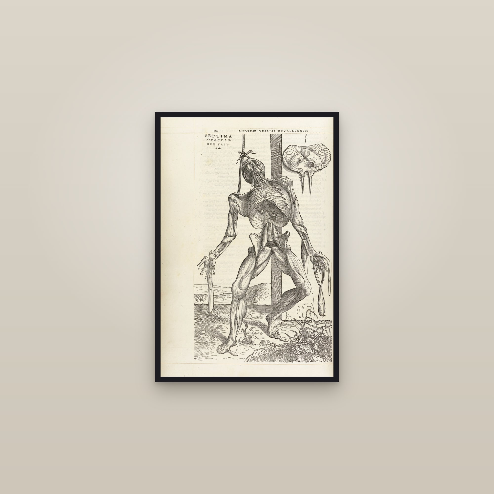 The Seventh Muscle Man (hanging figure) — framed in a gallery setting
