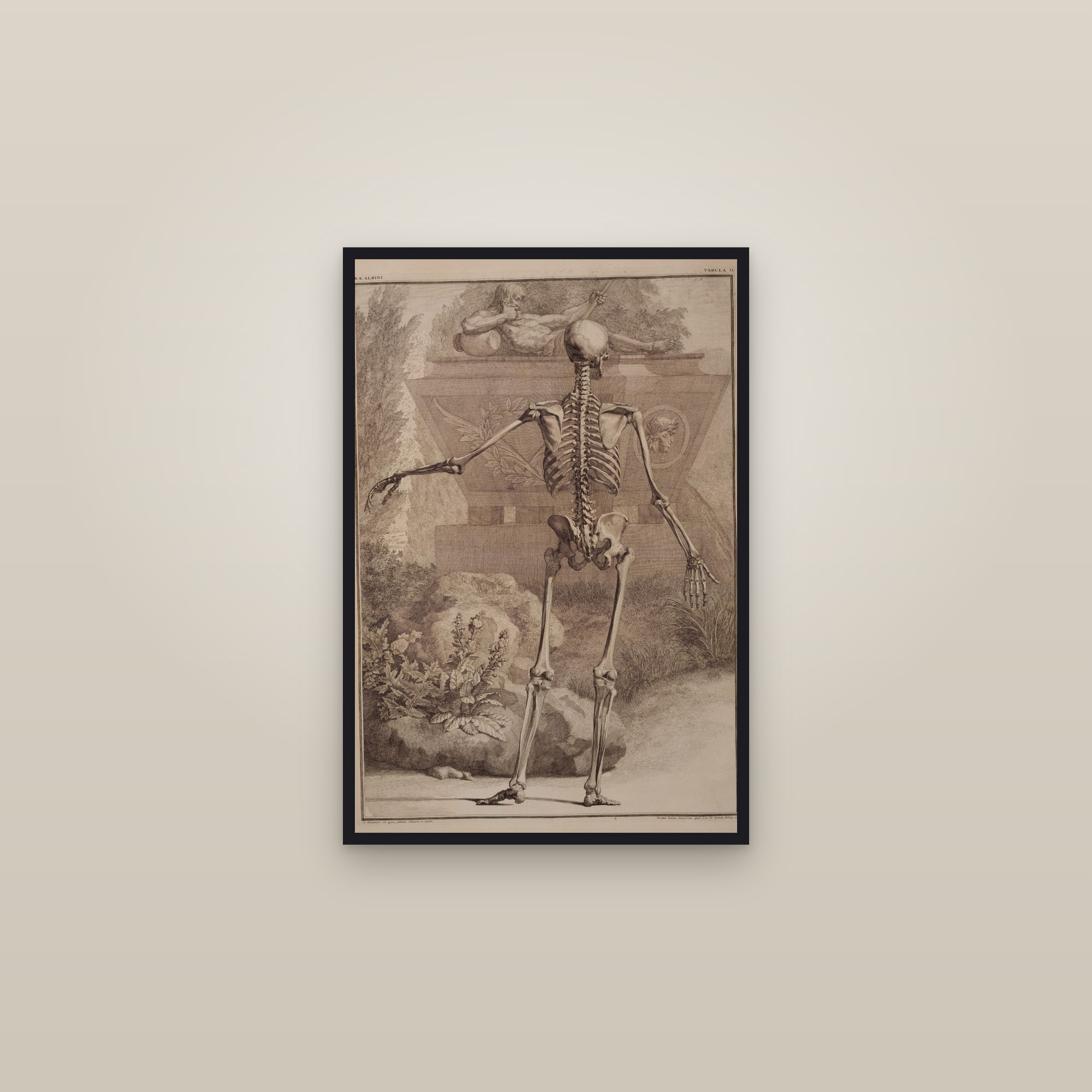 The Human Skeleton (back view, in a landscape) — framed in a gallery setting