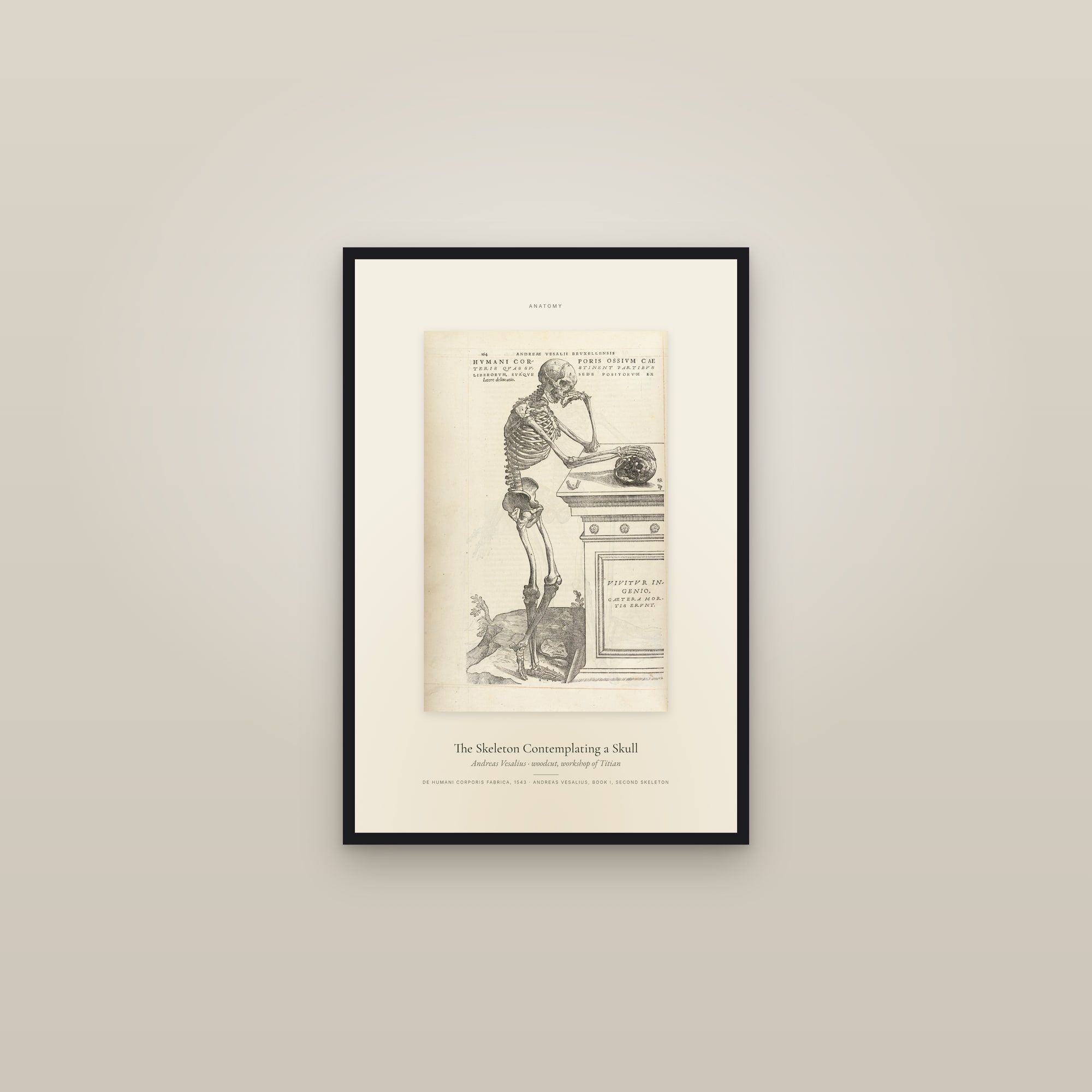 The Skeleton Contemplating a Skull — Specimen — framed in a gallery setting