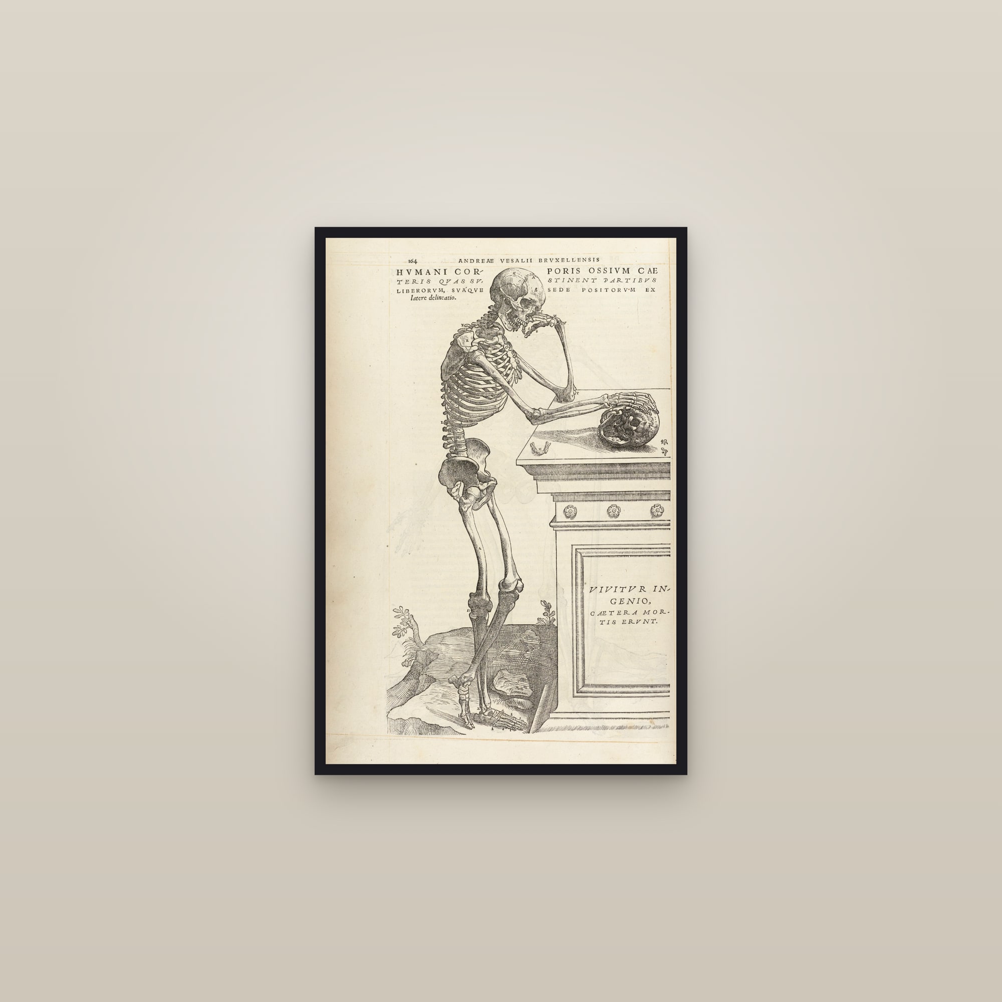 The Skeleton Contemplating a Skull — framed in a gallery setting