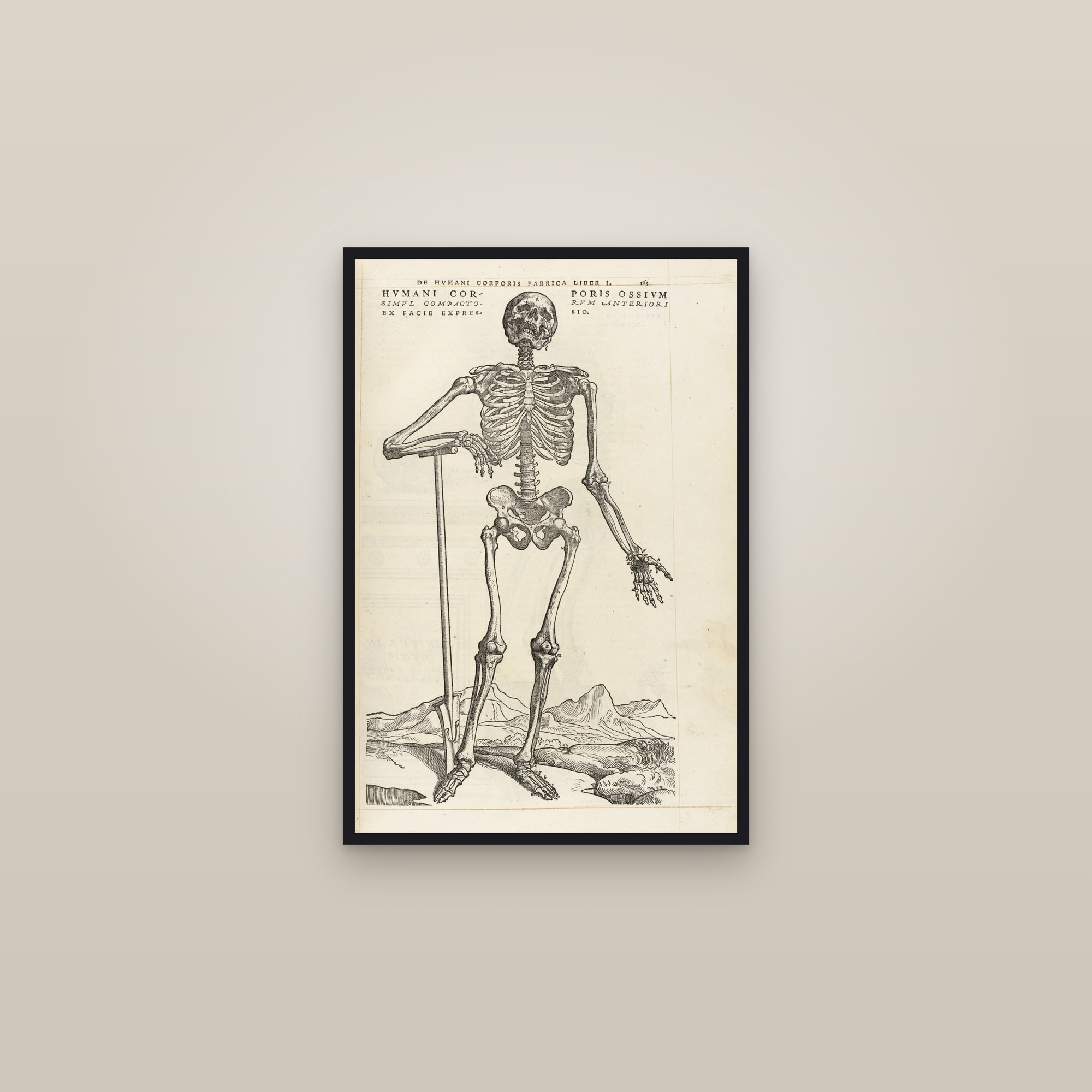 The Human Skeleton (front, leaning on a spade) — framed in a gallery setting
