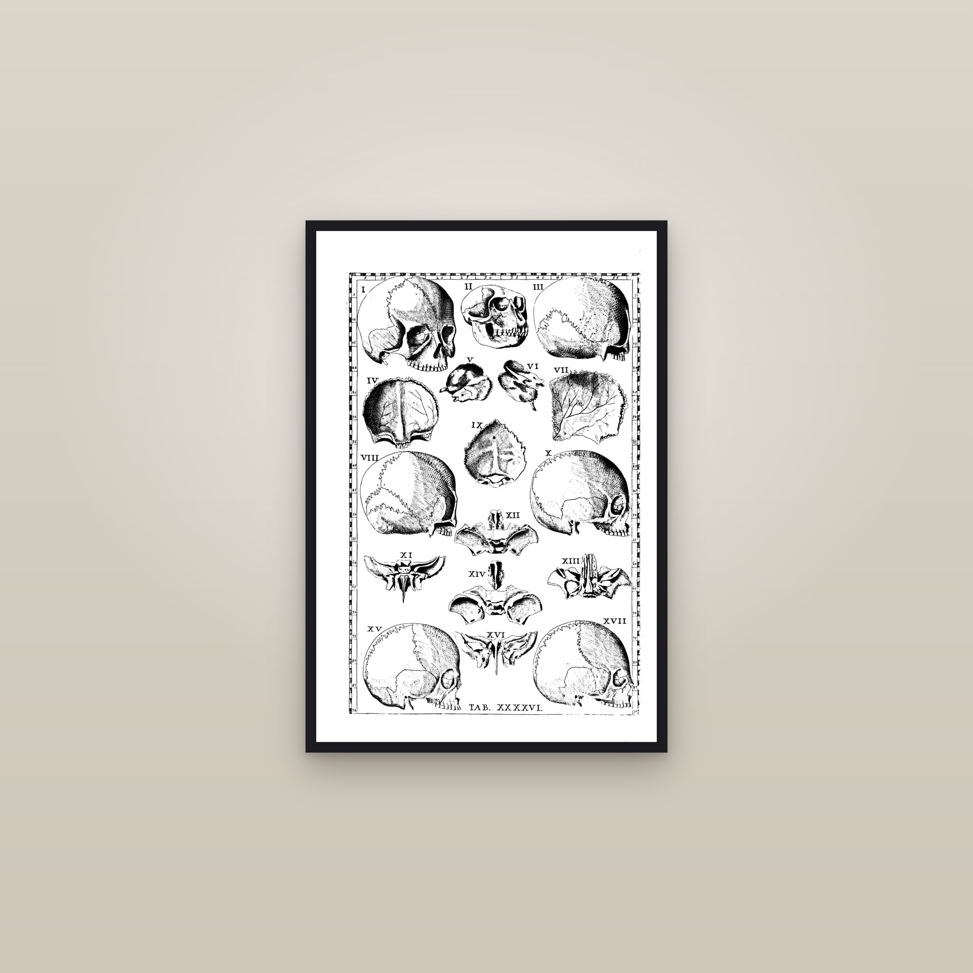 The Human Skull (seventeen views) — framed in a gallery setting