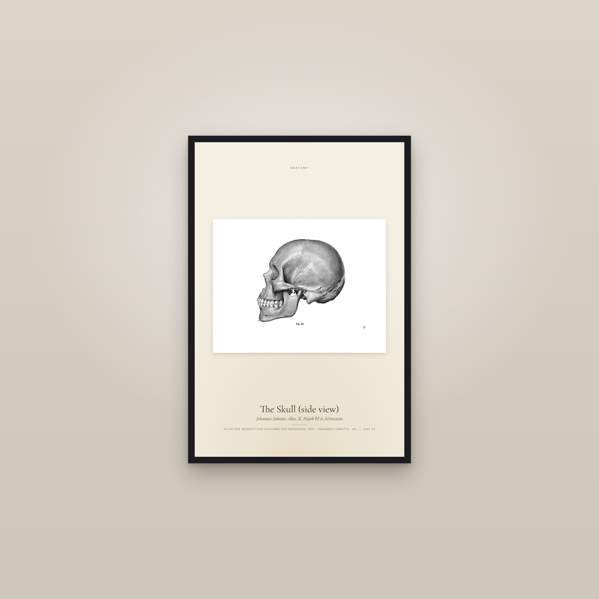 The Skull (side view) — framed in a gallery setting
