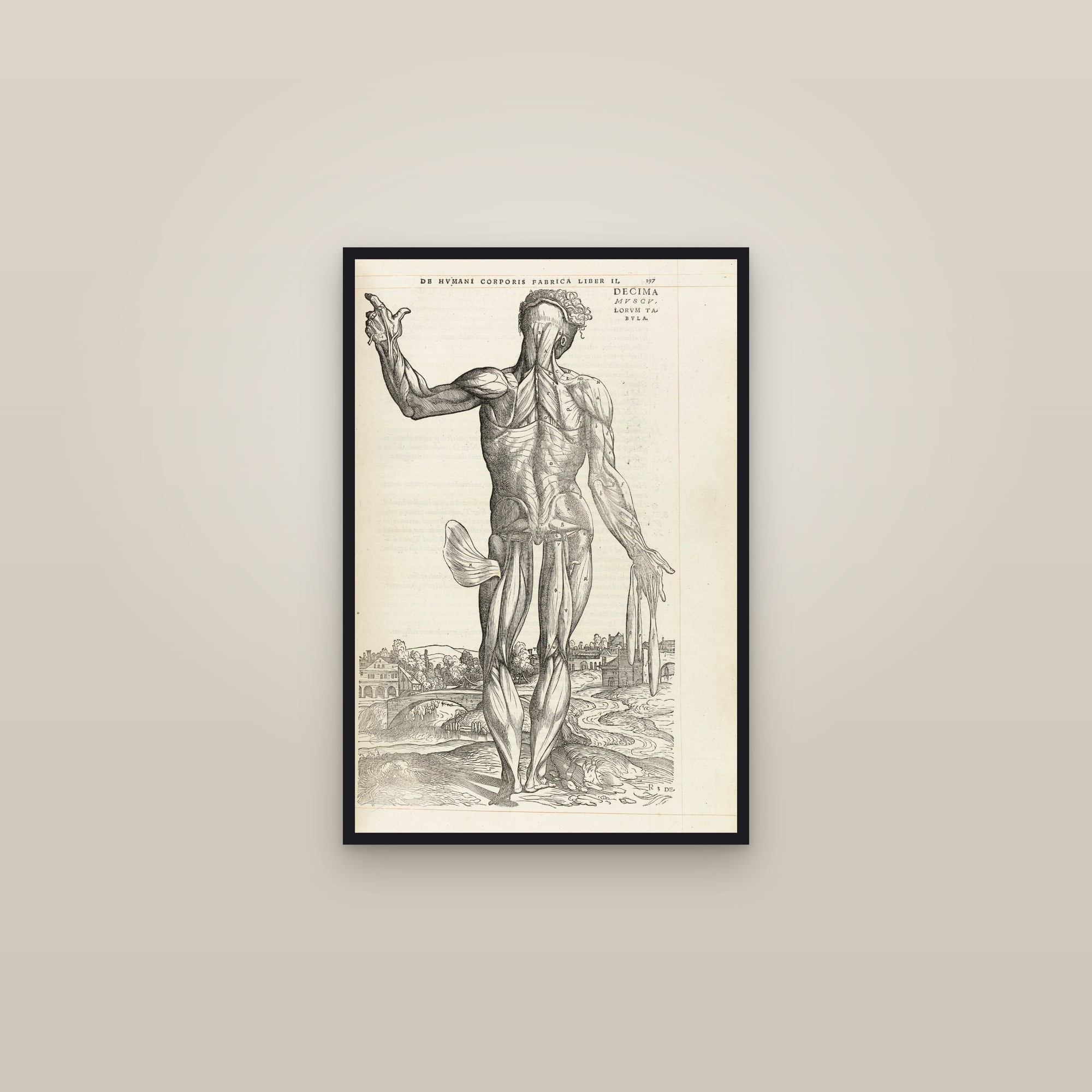 The Tenth Muscle Man (back, arm raised) — framed in a gallery setting