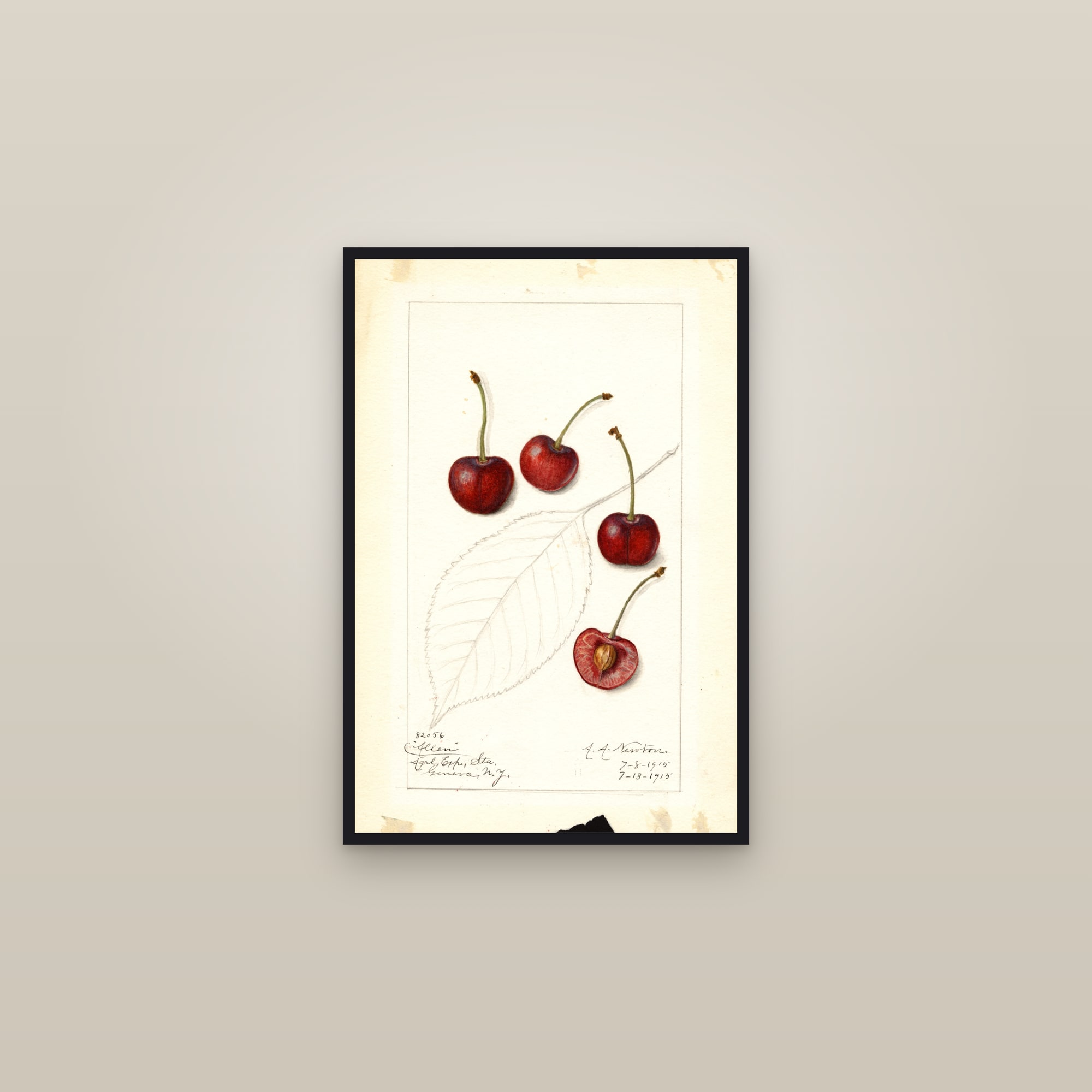 Allen Cherry — framed in a gallery setting
