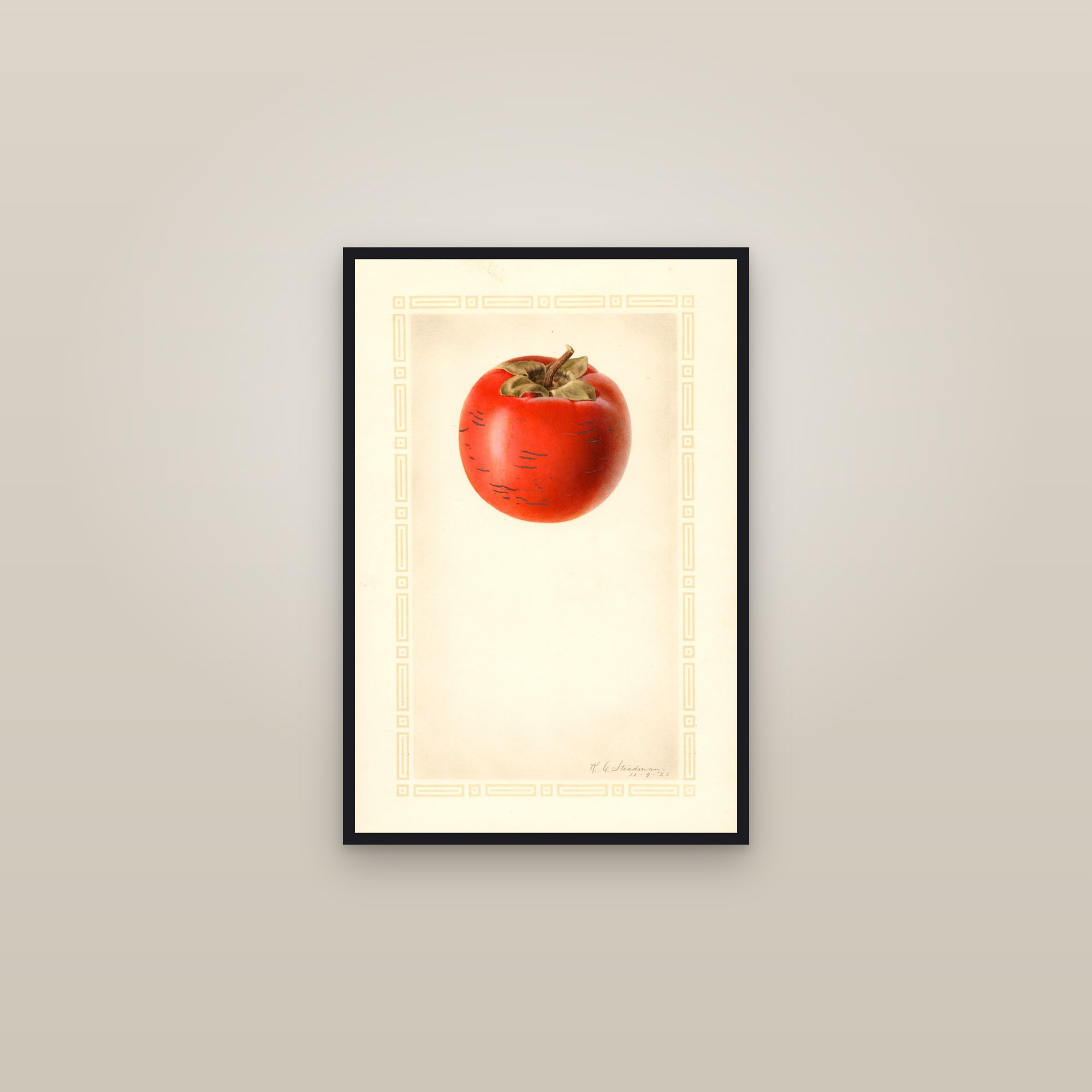 Atago Persimmon — framed in a gallery setting