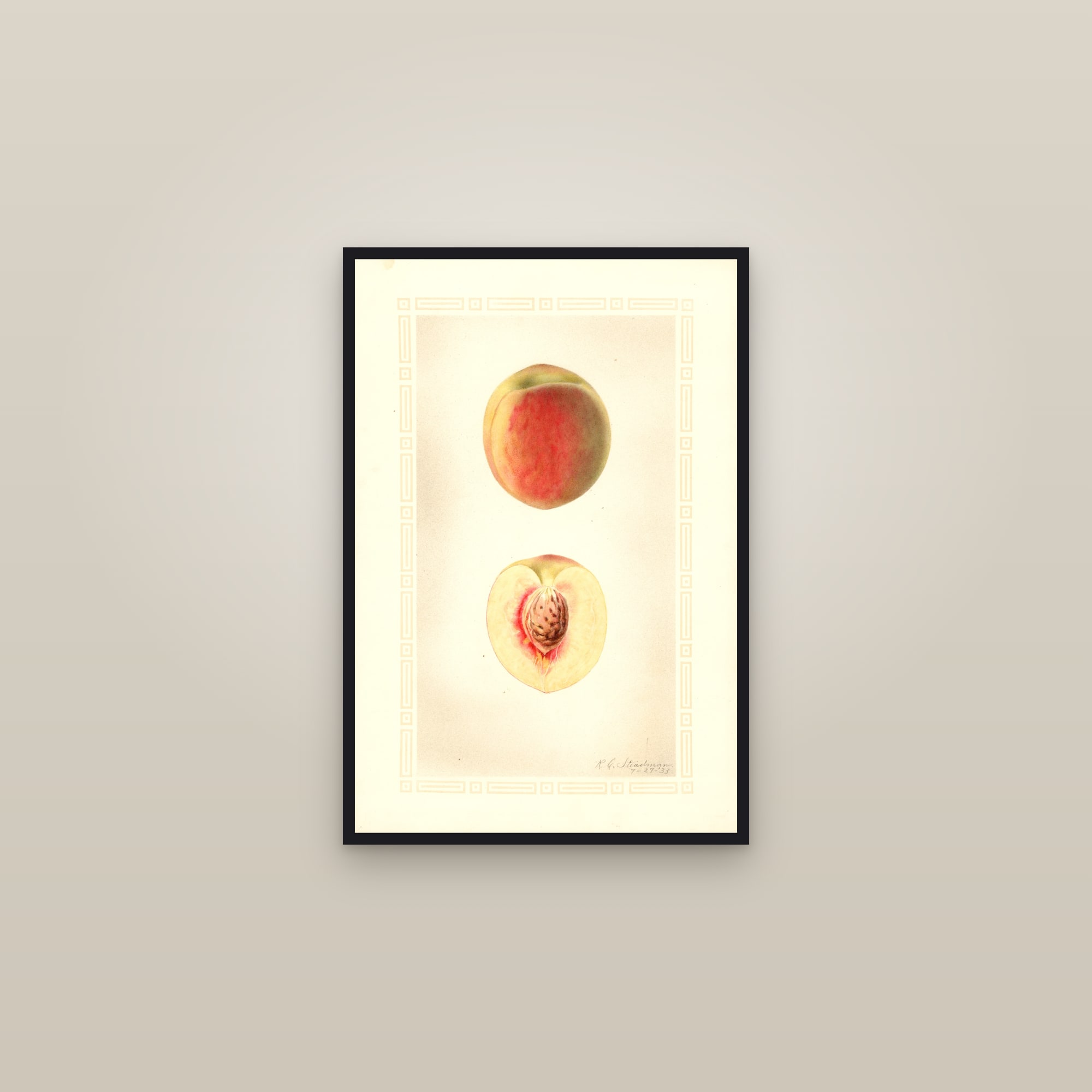Babcock Peach — framed in a gallery setting