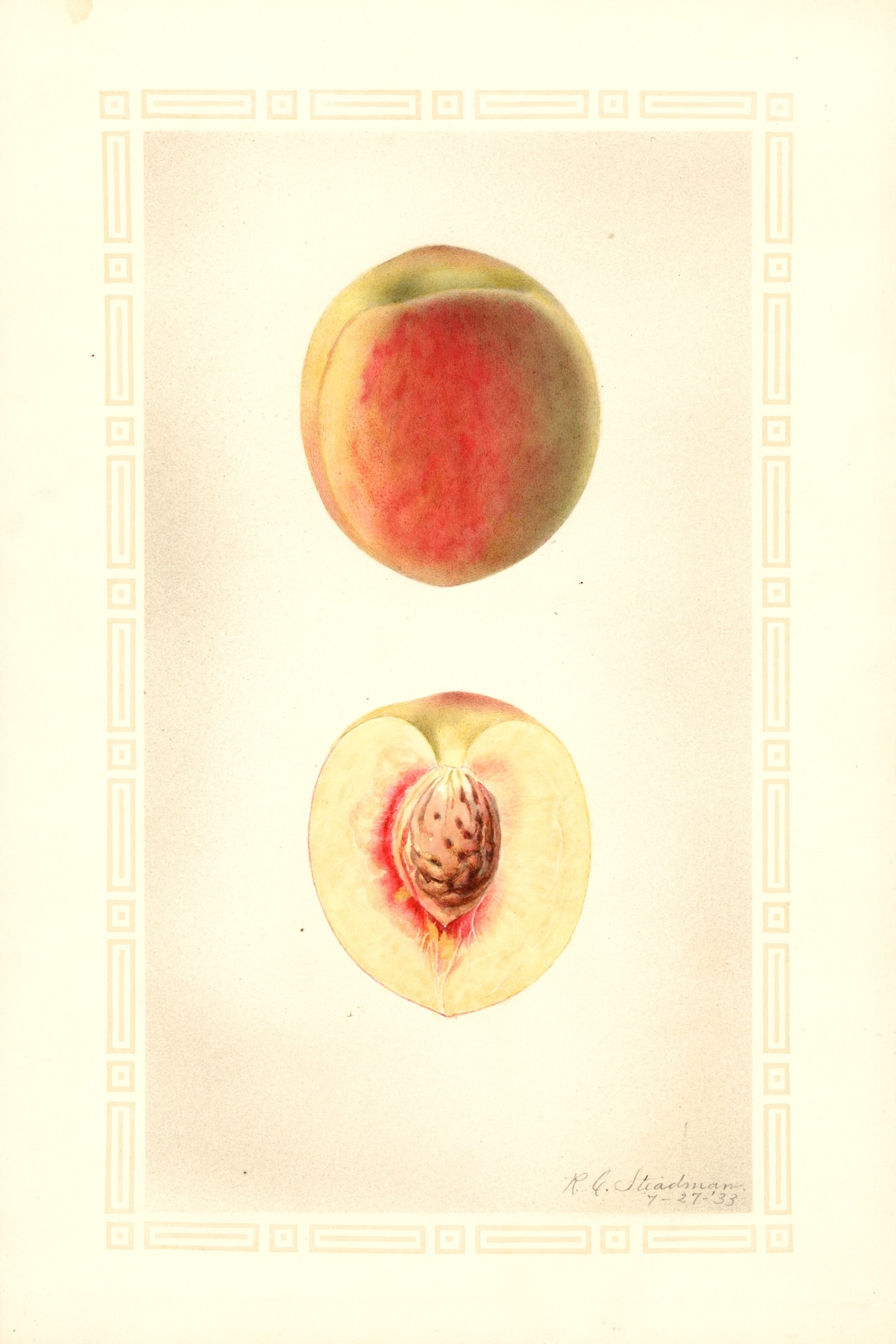 Babcock Peach