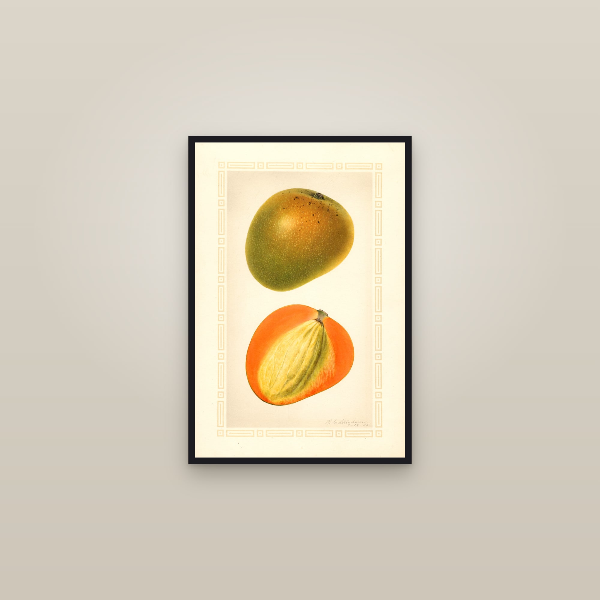 Baboony Mango — framed in a gallery setting