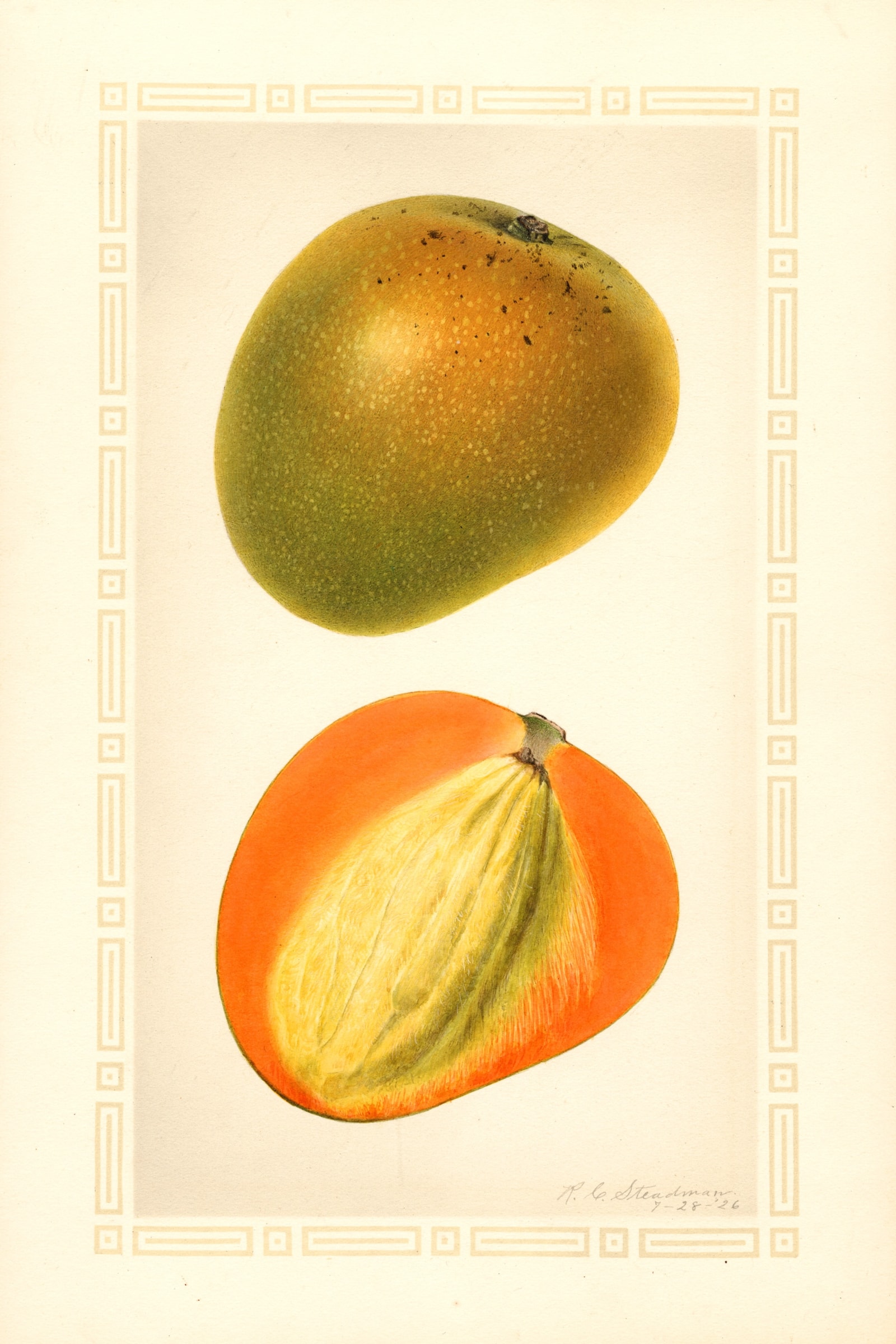 Baboony Mango