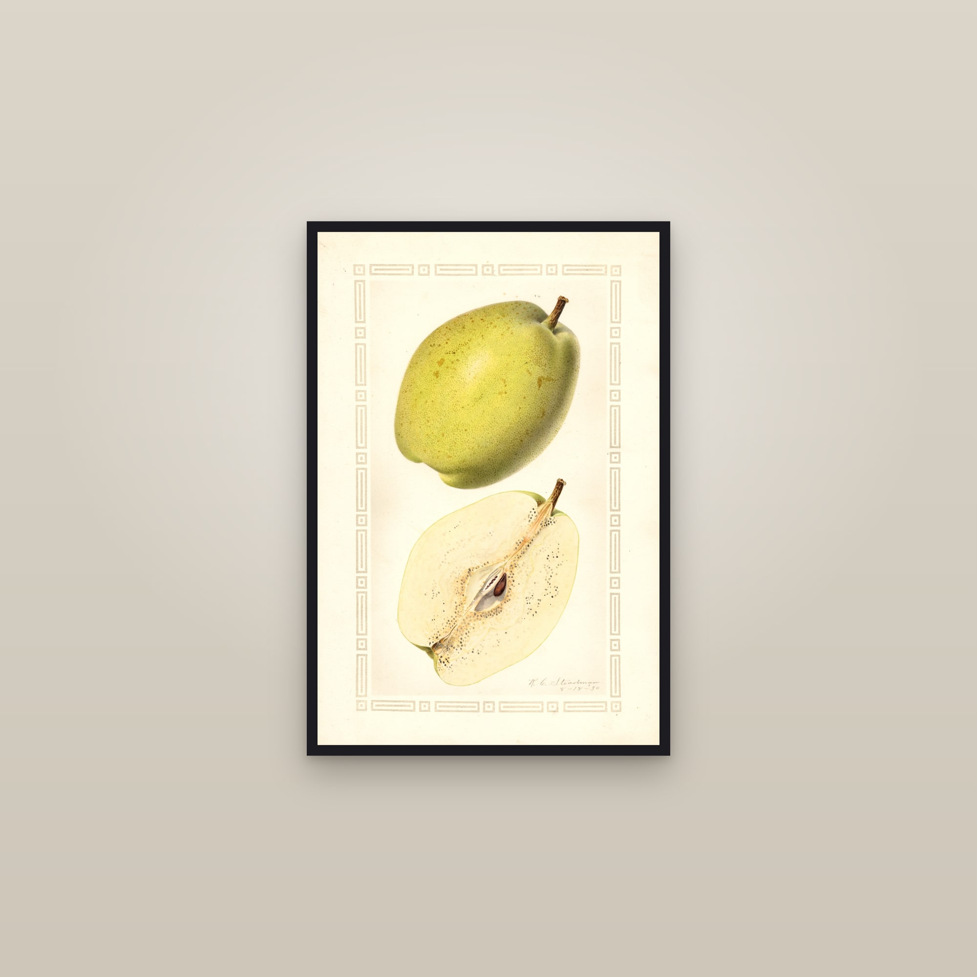 Baldwin Pear — framed in a gallery setting