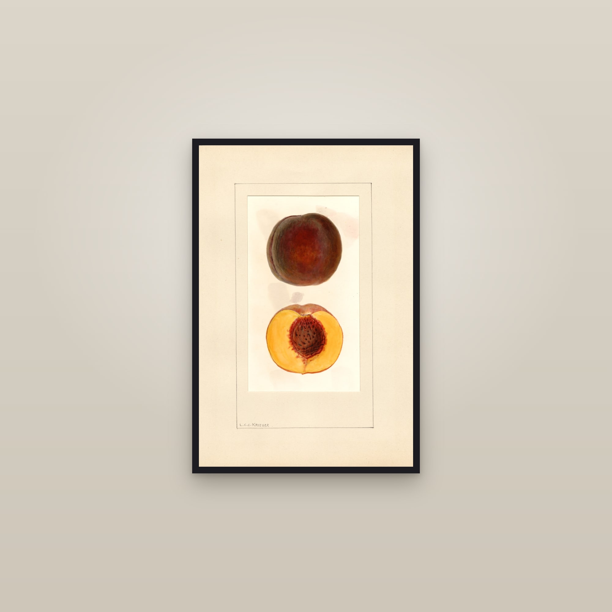 Barnard Peach — framed in a gallery setting