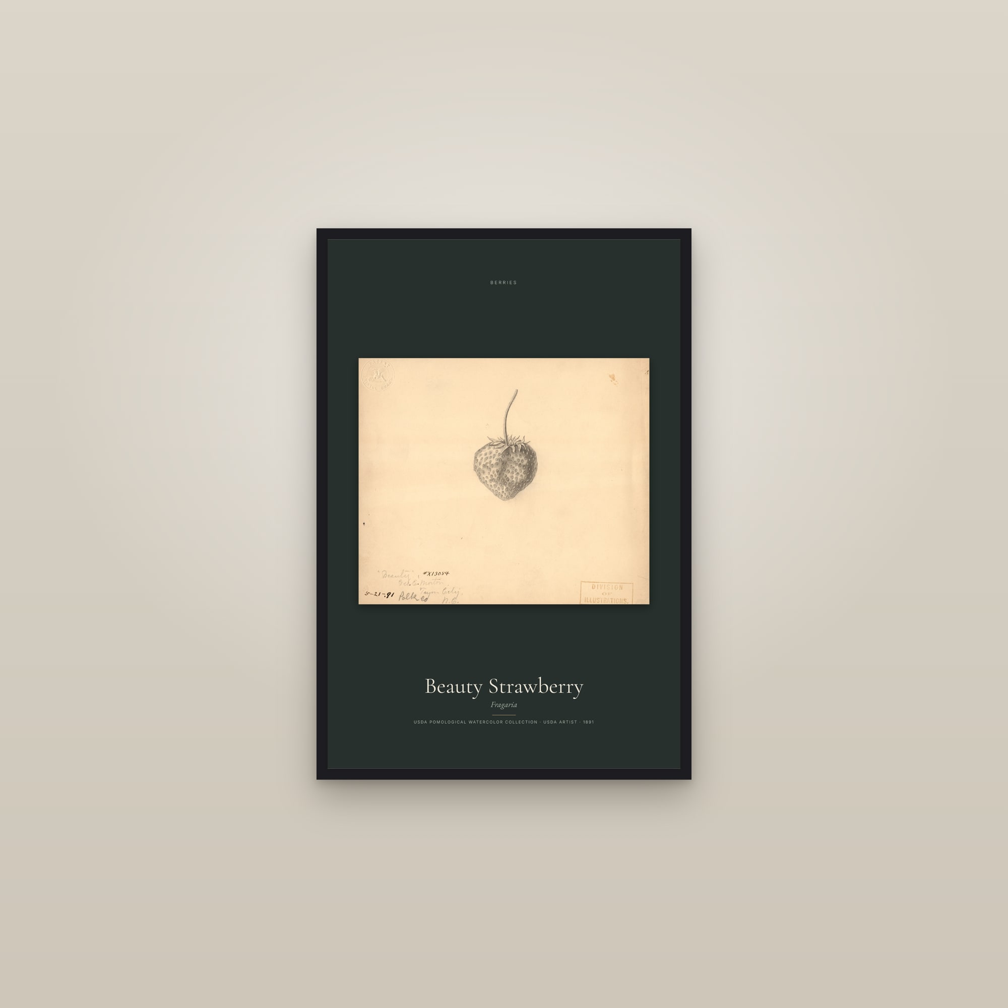 Beauty Strawberry — framed in a gallery setting