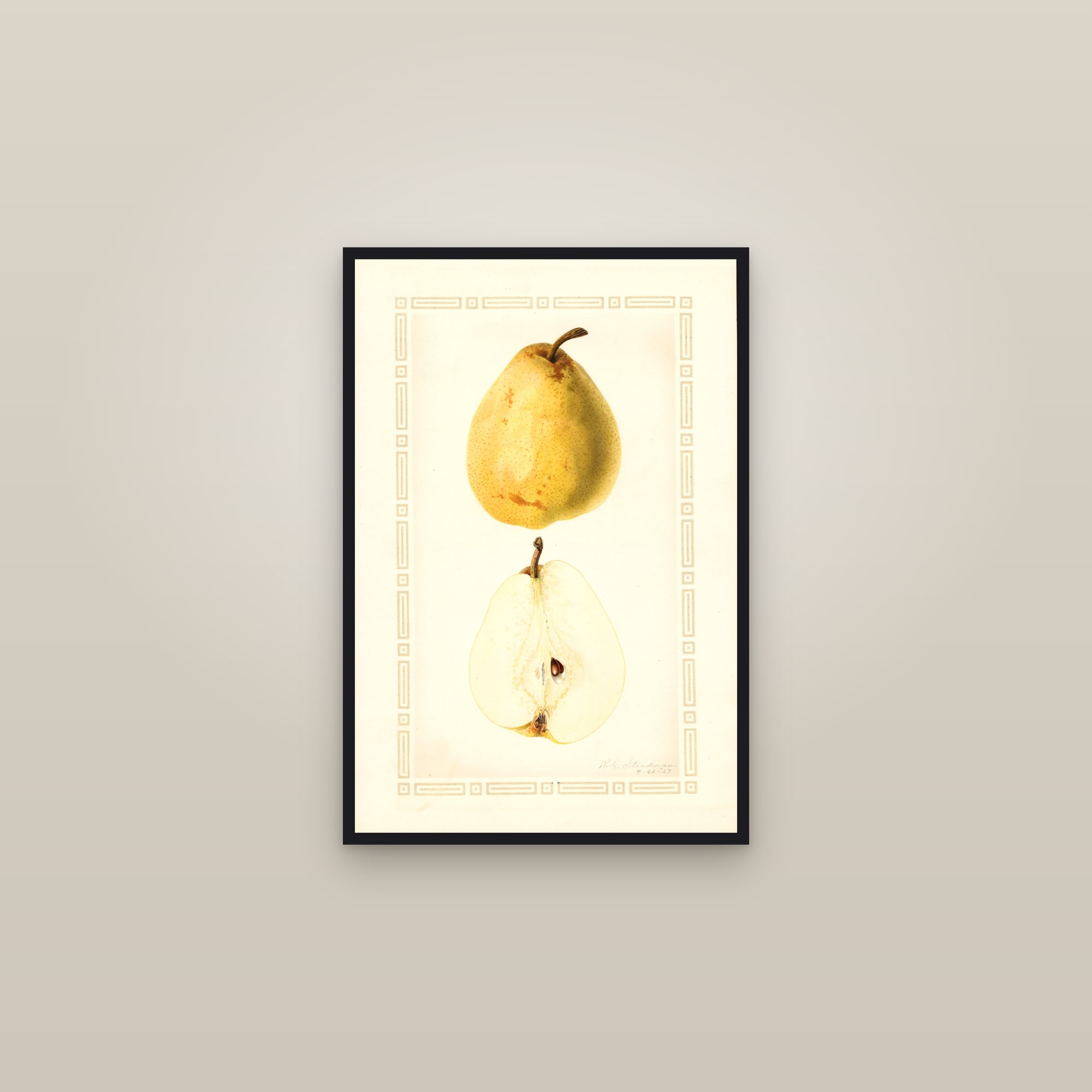 Beierschmitt Pear — framed in a gallery setting