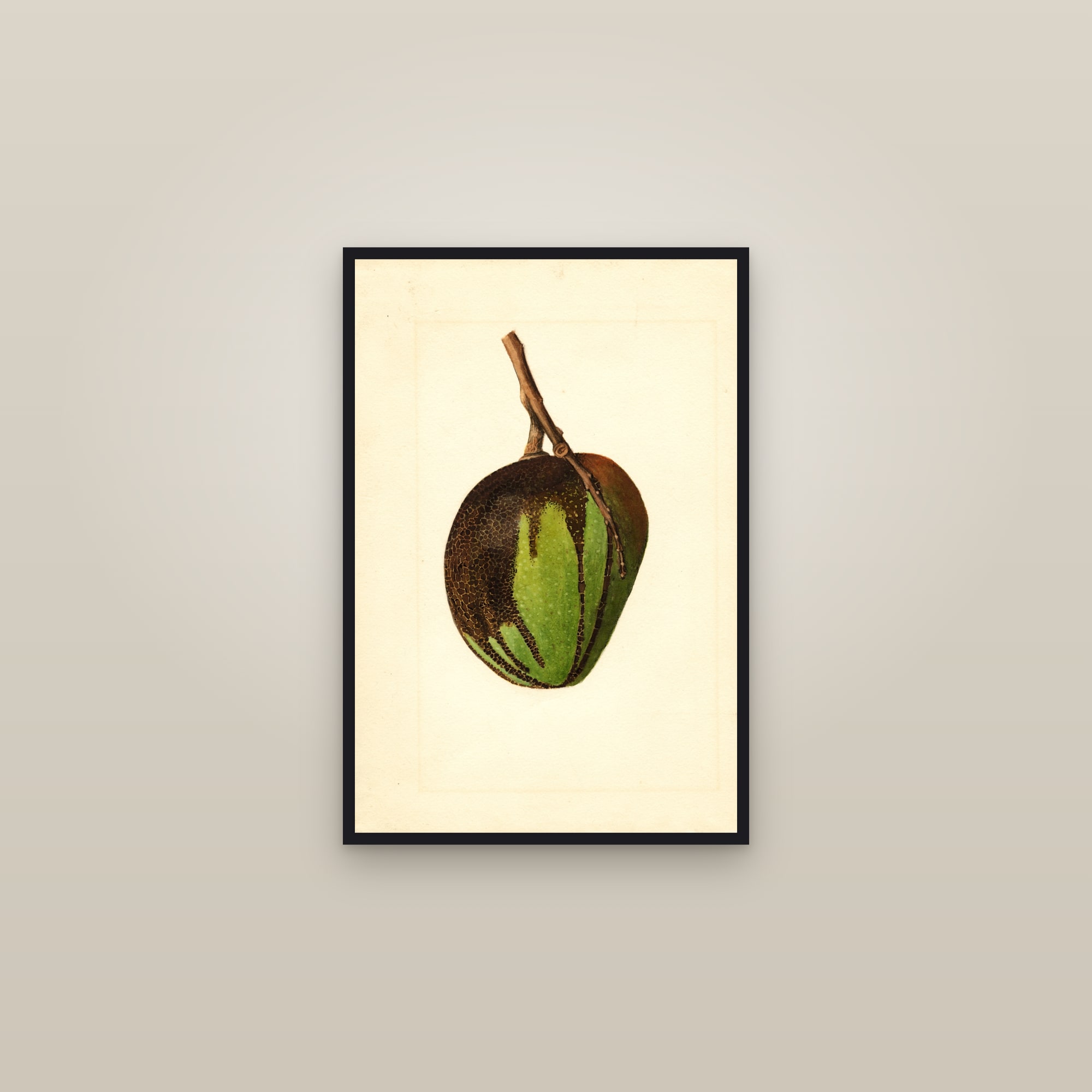Bennett Mango — framed in a gallery setting
