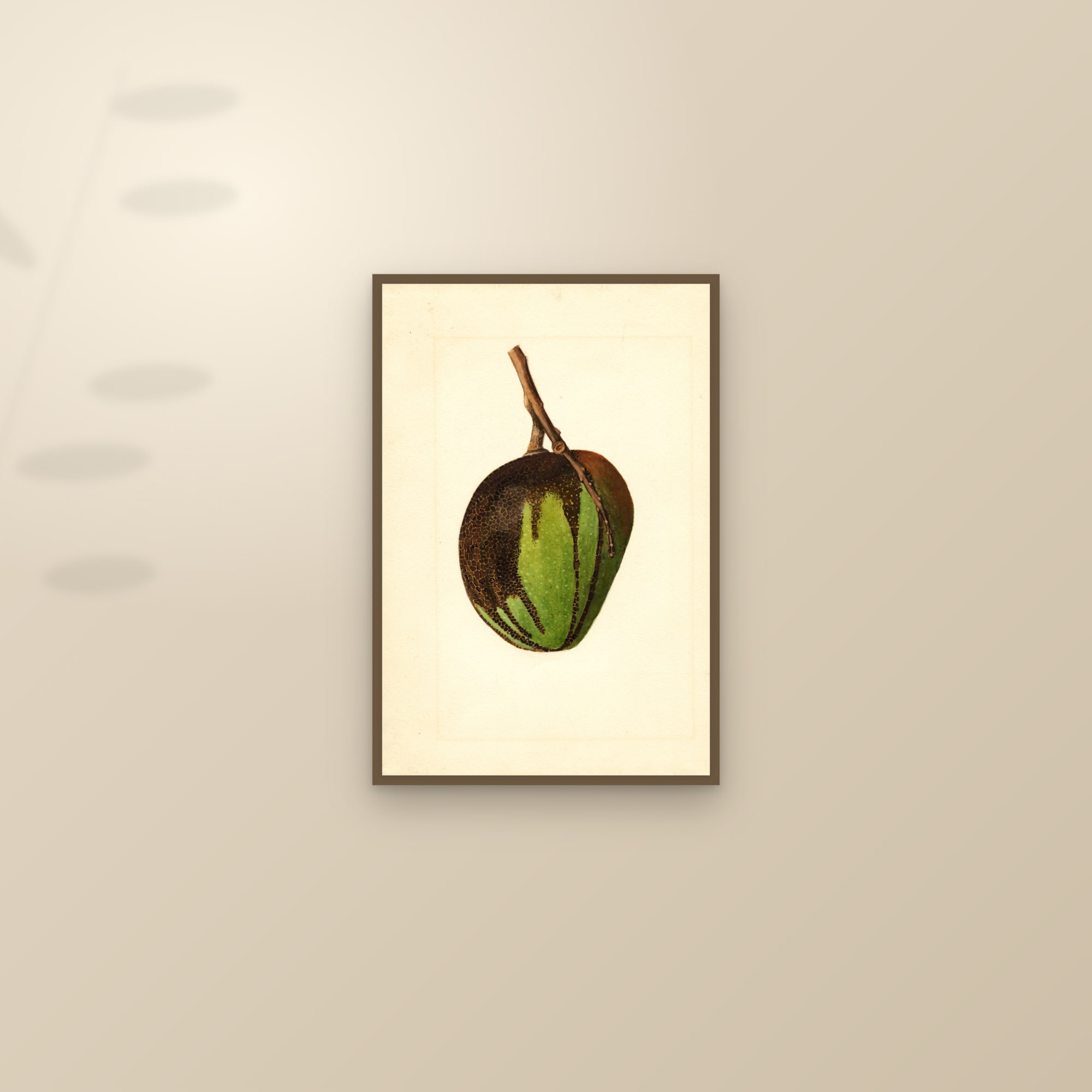 Bennett Mango — framed and styled on a sunlit wall