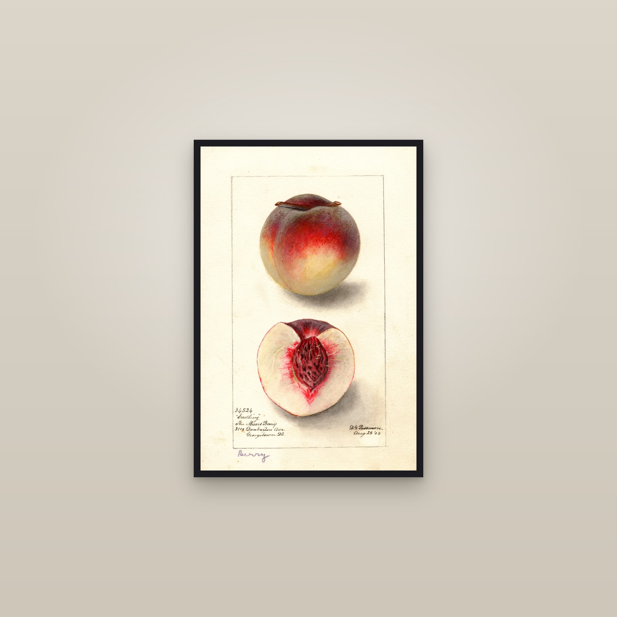 Berry Peach — framed in a gallery setting