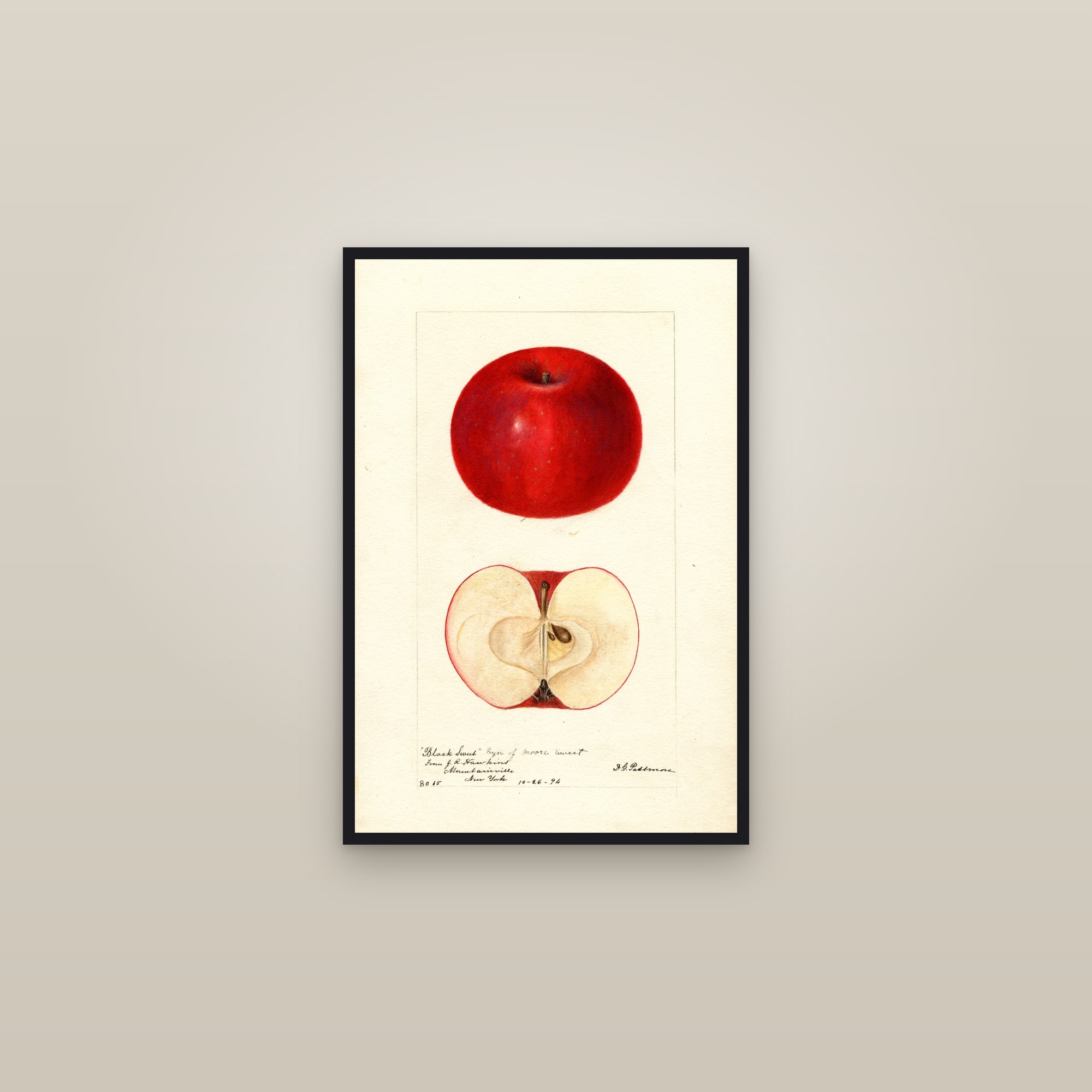 Black Sweet Apple — framed in a gallery setting