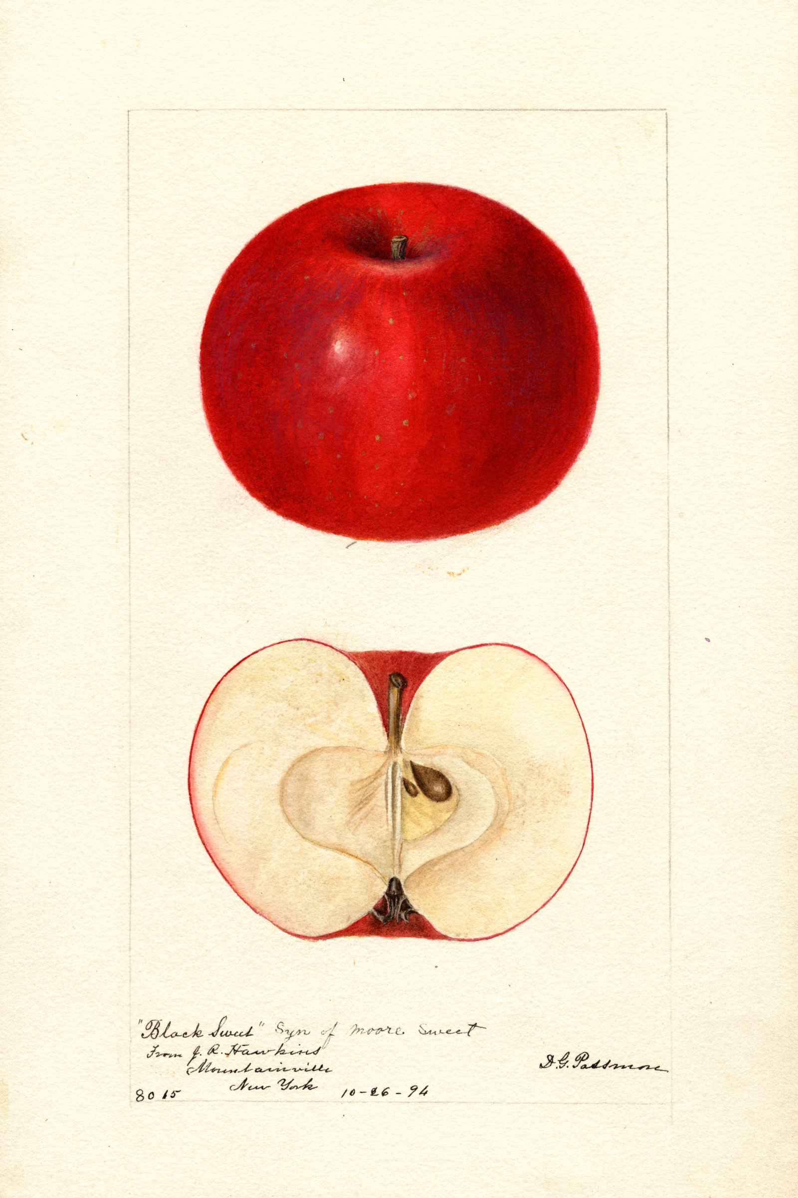Black Sweet Apple