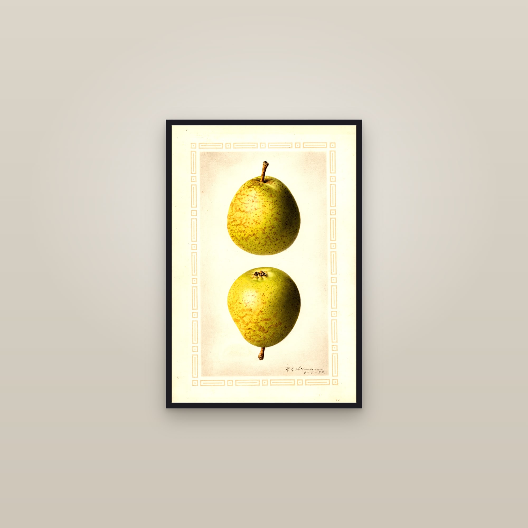 Bossock Pear — framed in a gallery setting