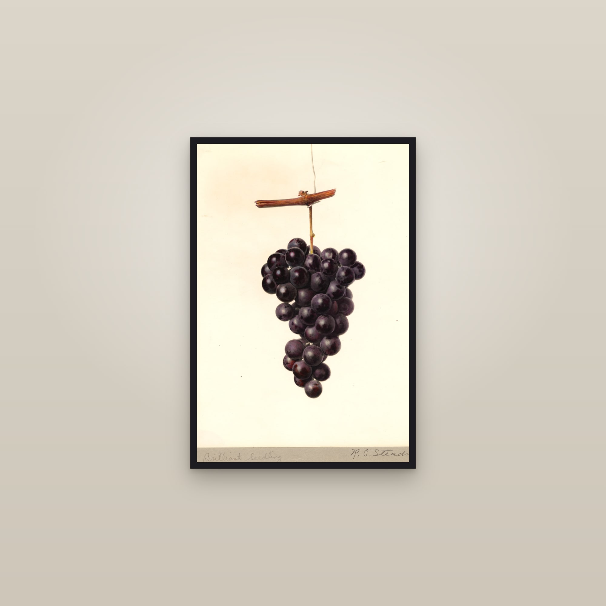 Brilliant Grape — framed in a gallery setting
