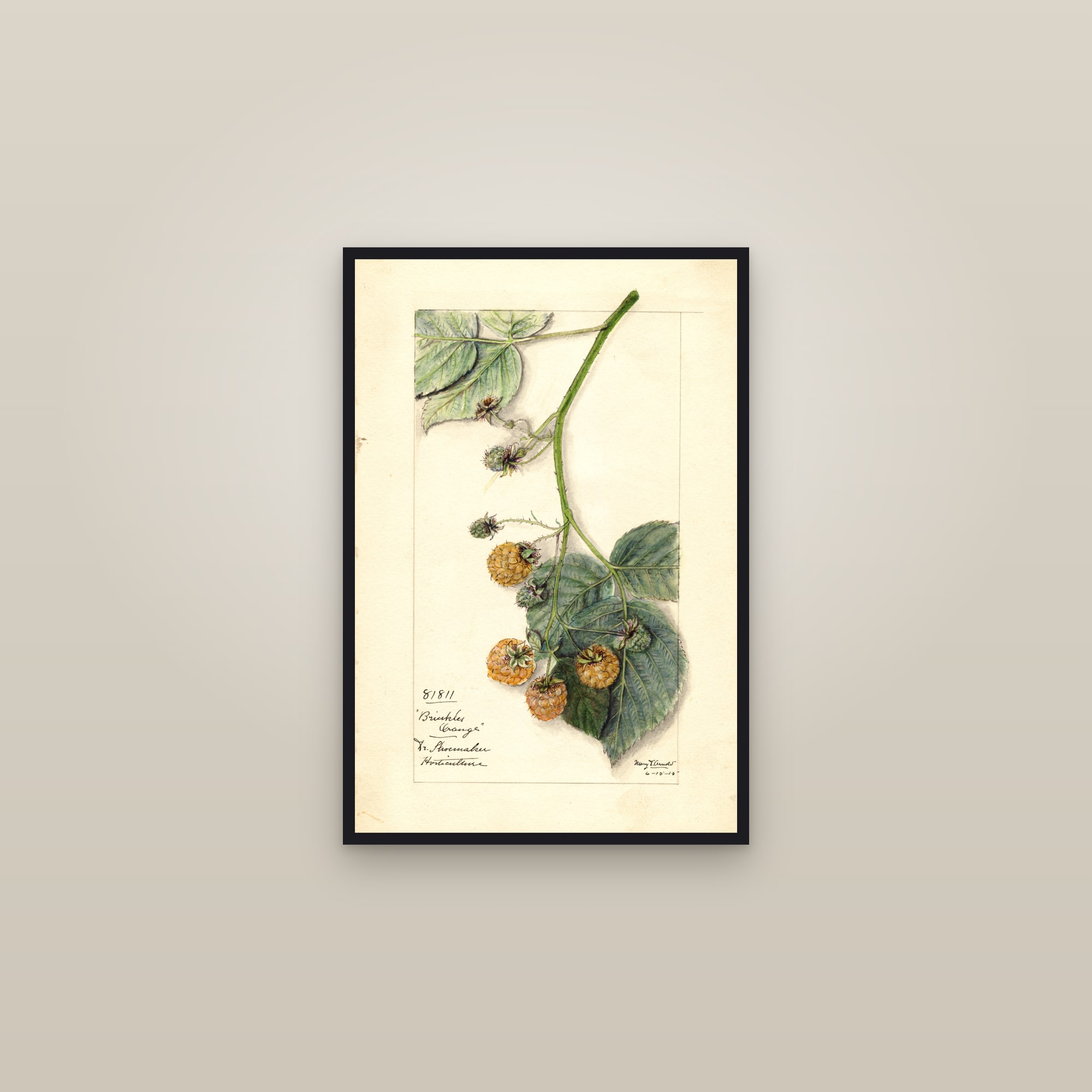 Brinkles Orange Raspberry — framed in a gallery setting