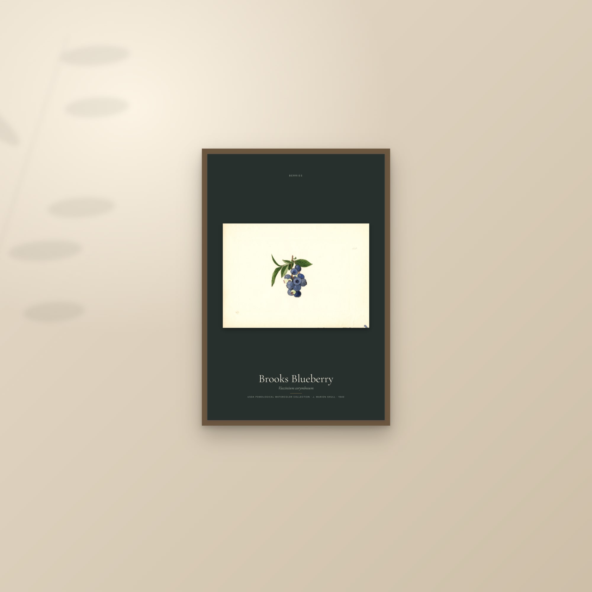 Brooks Blueberry — framed and styled on a sunlit wall