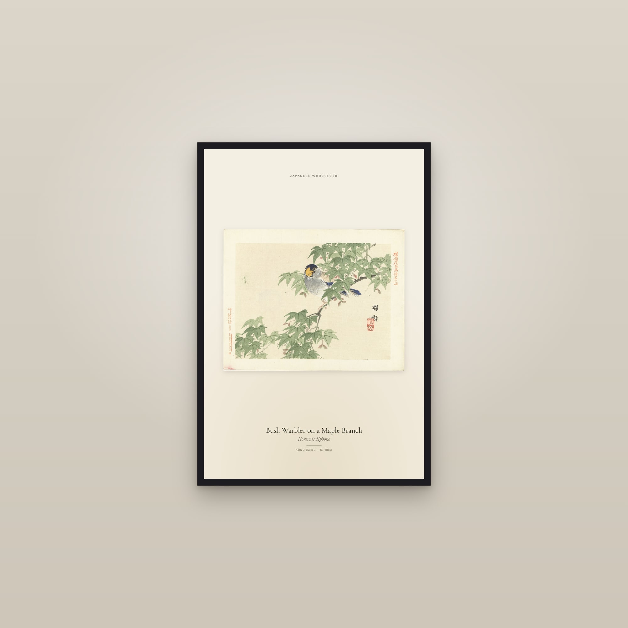 Bush Warbler on a Maple Branch — framed in a gallery setting