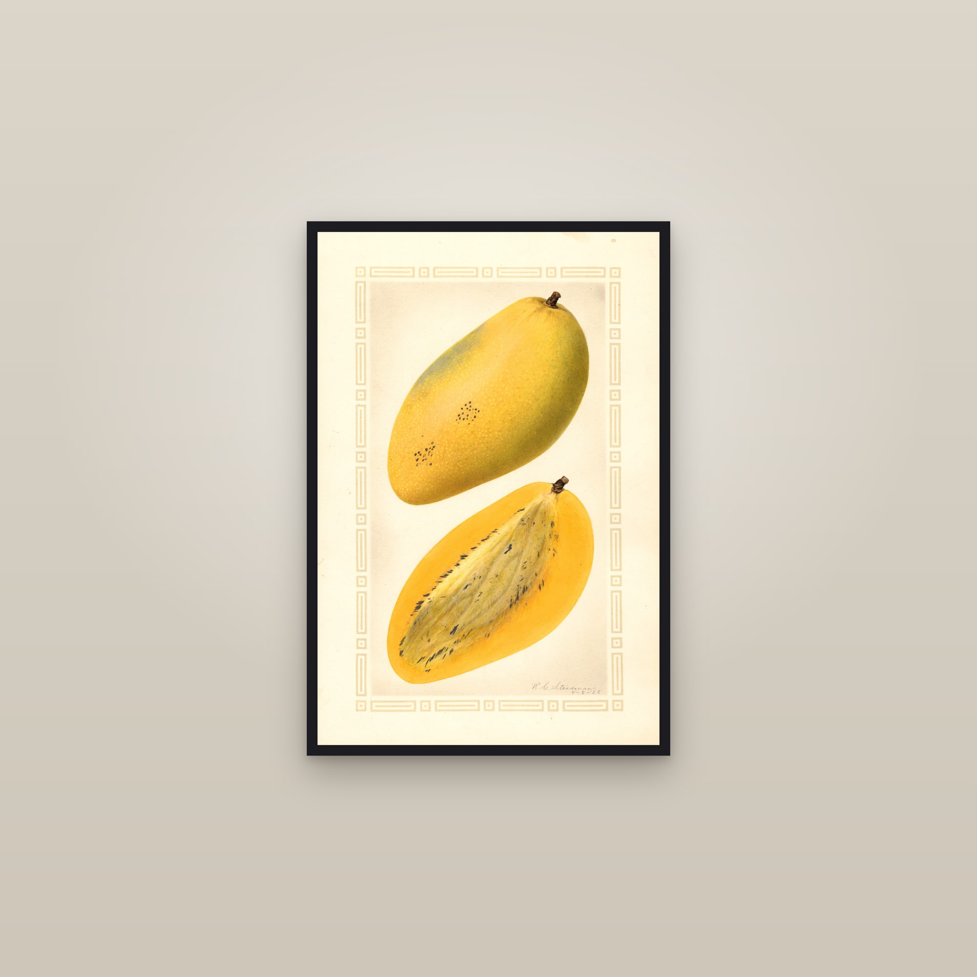 Carabao Mango — framed in a gallery setting