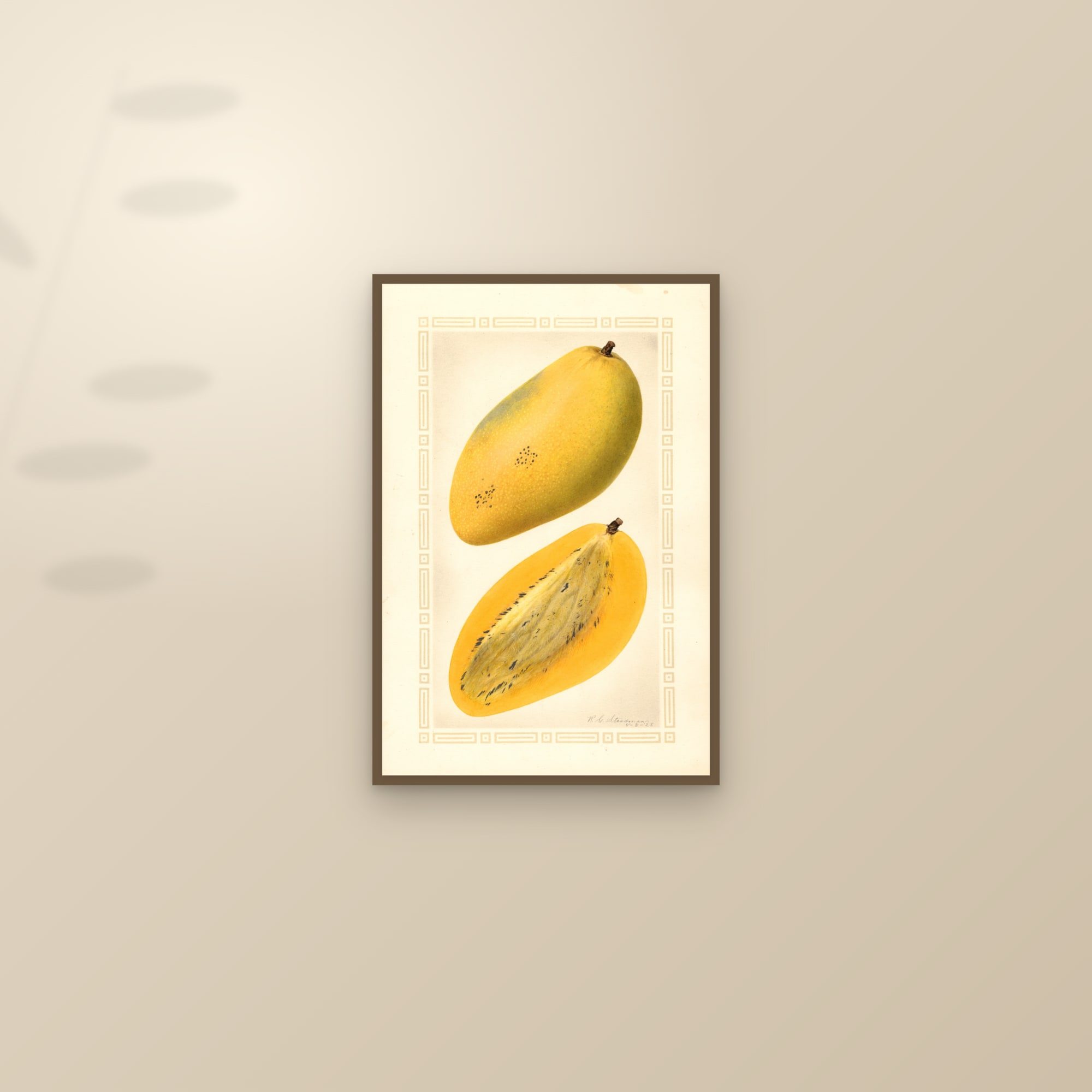Carabao Mango — framed and styled on a sunlit wall