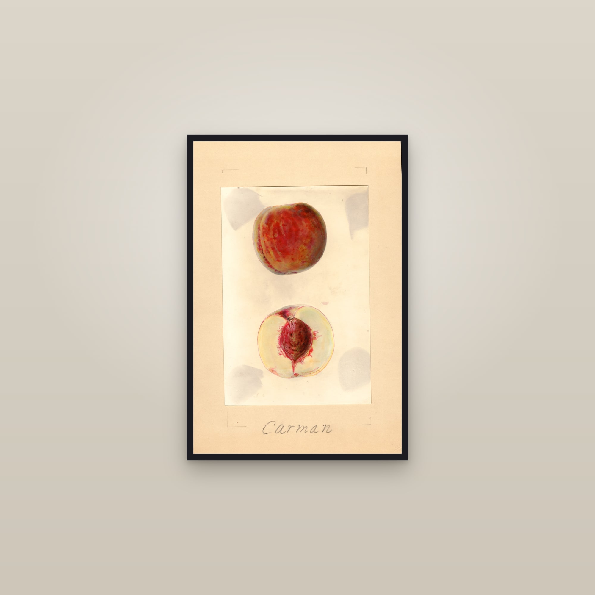 Carman Peach — framed in a gallery setting