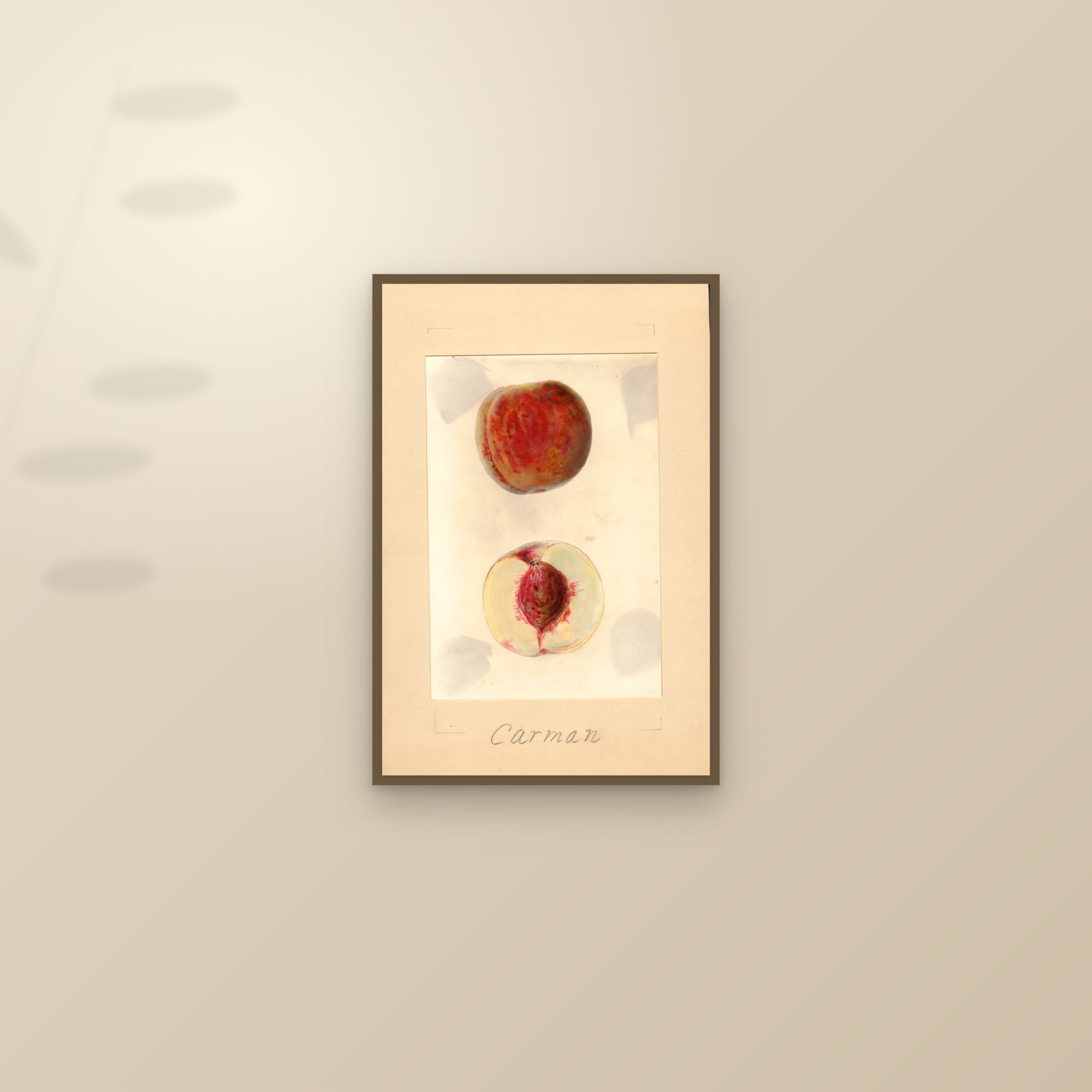 Carman Peach — framed and styled on a sunlit wall