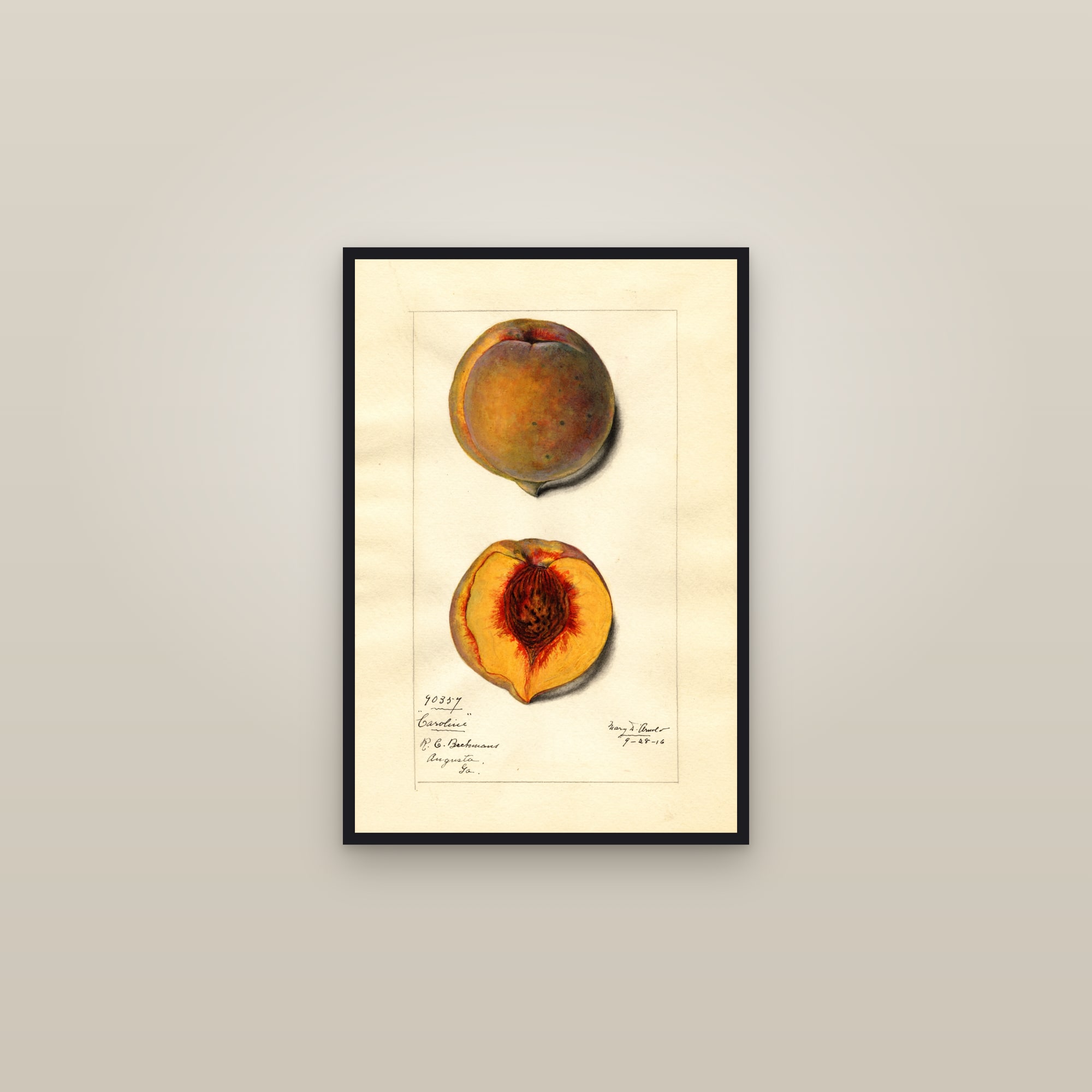 Caroline Peach — framed in a gallery setting