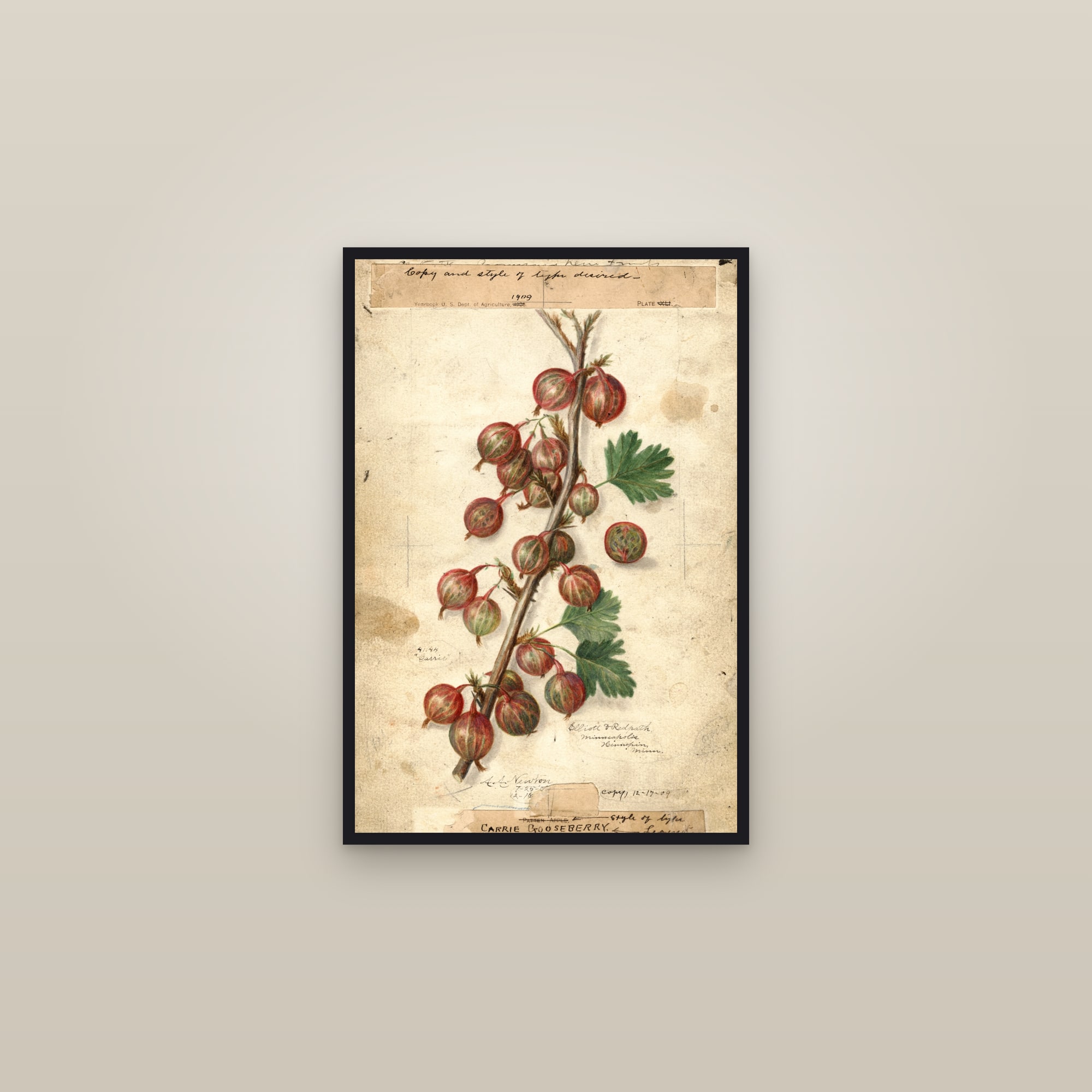 Carrie Gooseberry — framed in a gallery setting