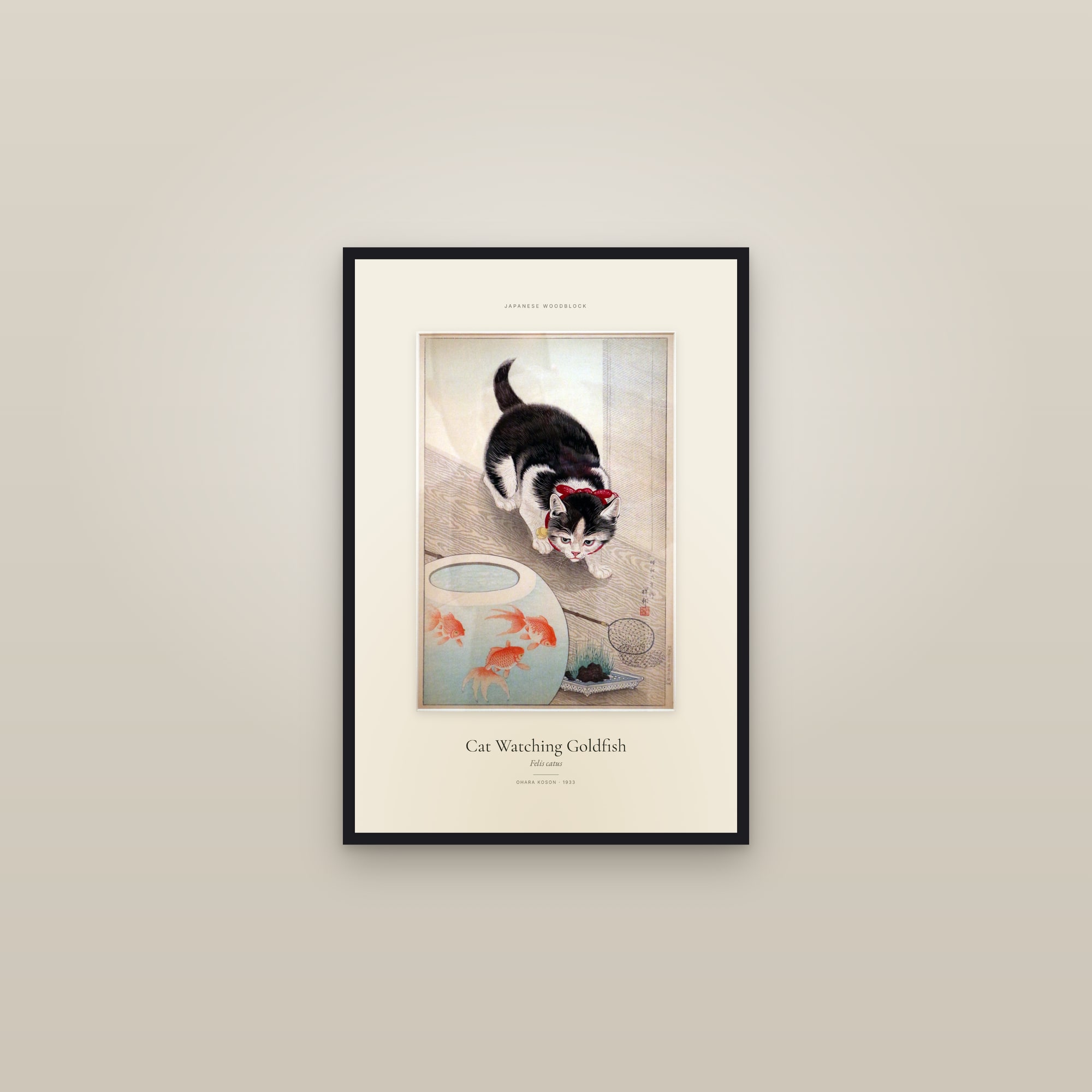 Cat Watching Goldfish — Specimen