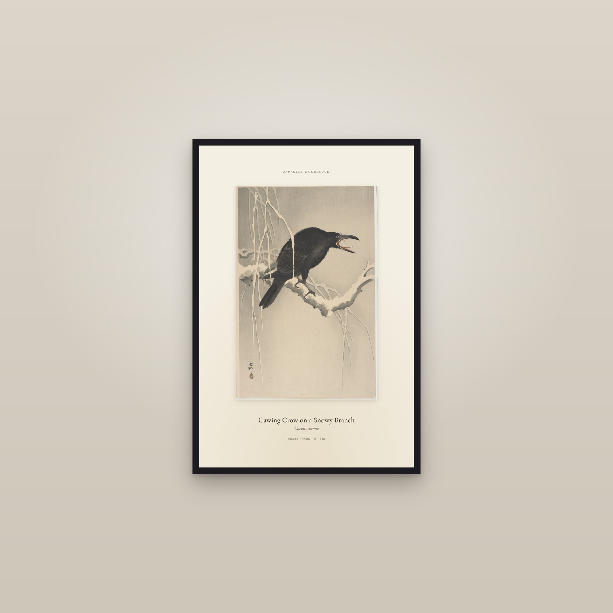 Cawing Crow on a Snowy Branch — Specimen